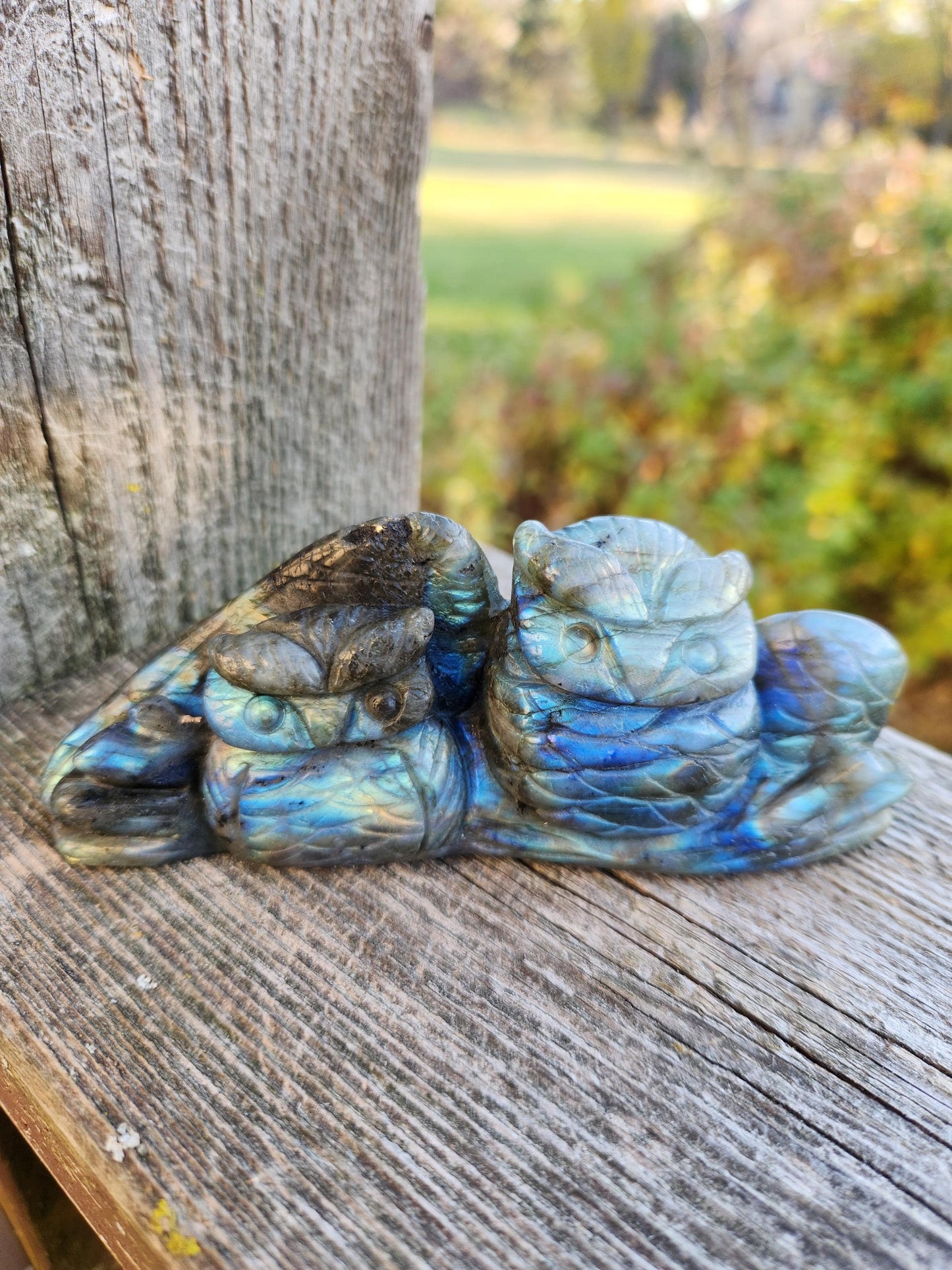Carved Labradorite Crystal Carving of Two Owls, Flash