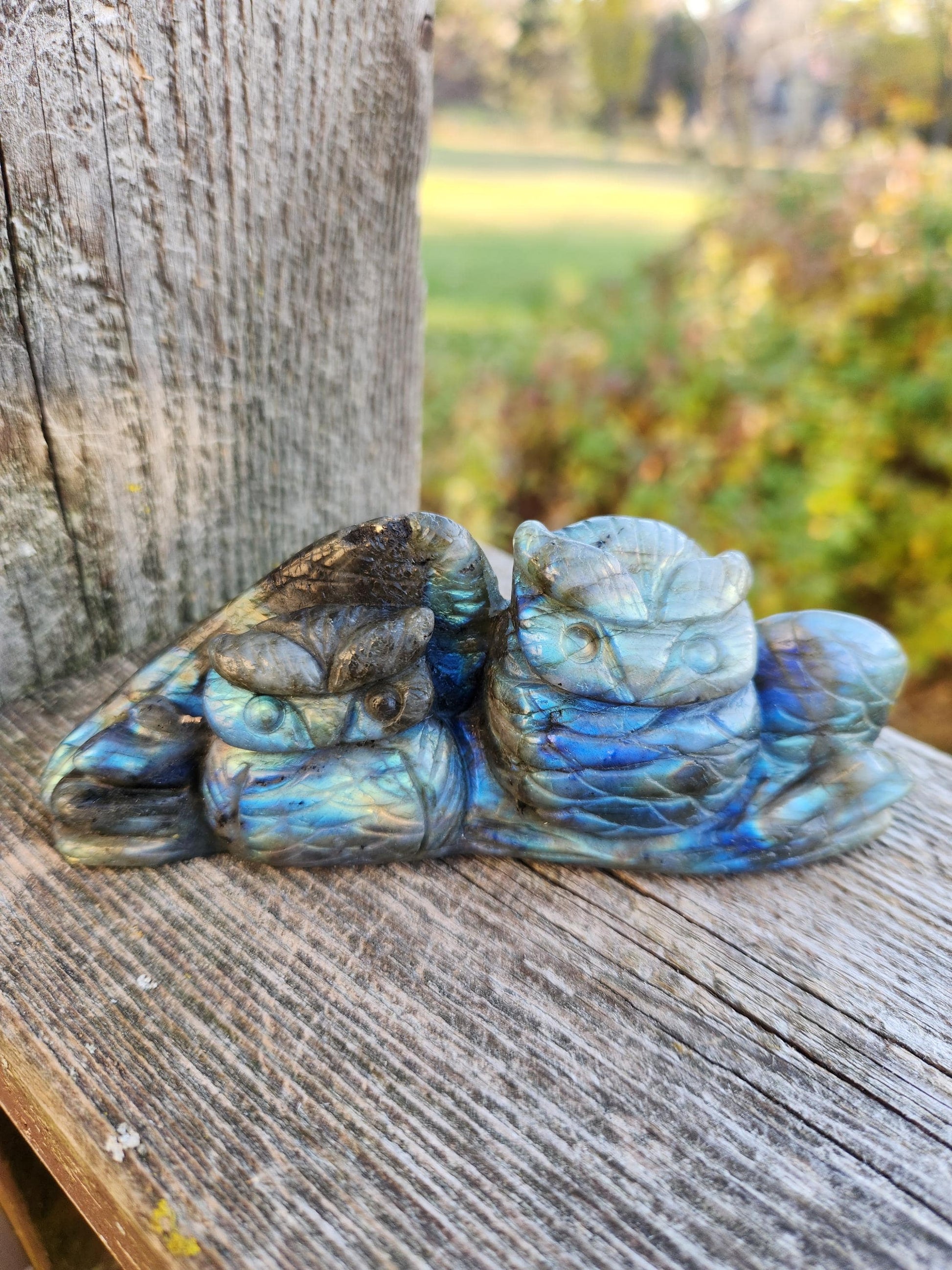 Carved Labradorite Crystal Carving of Two Owls, Flash