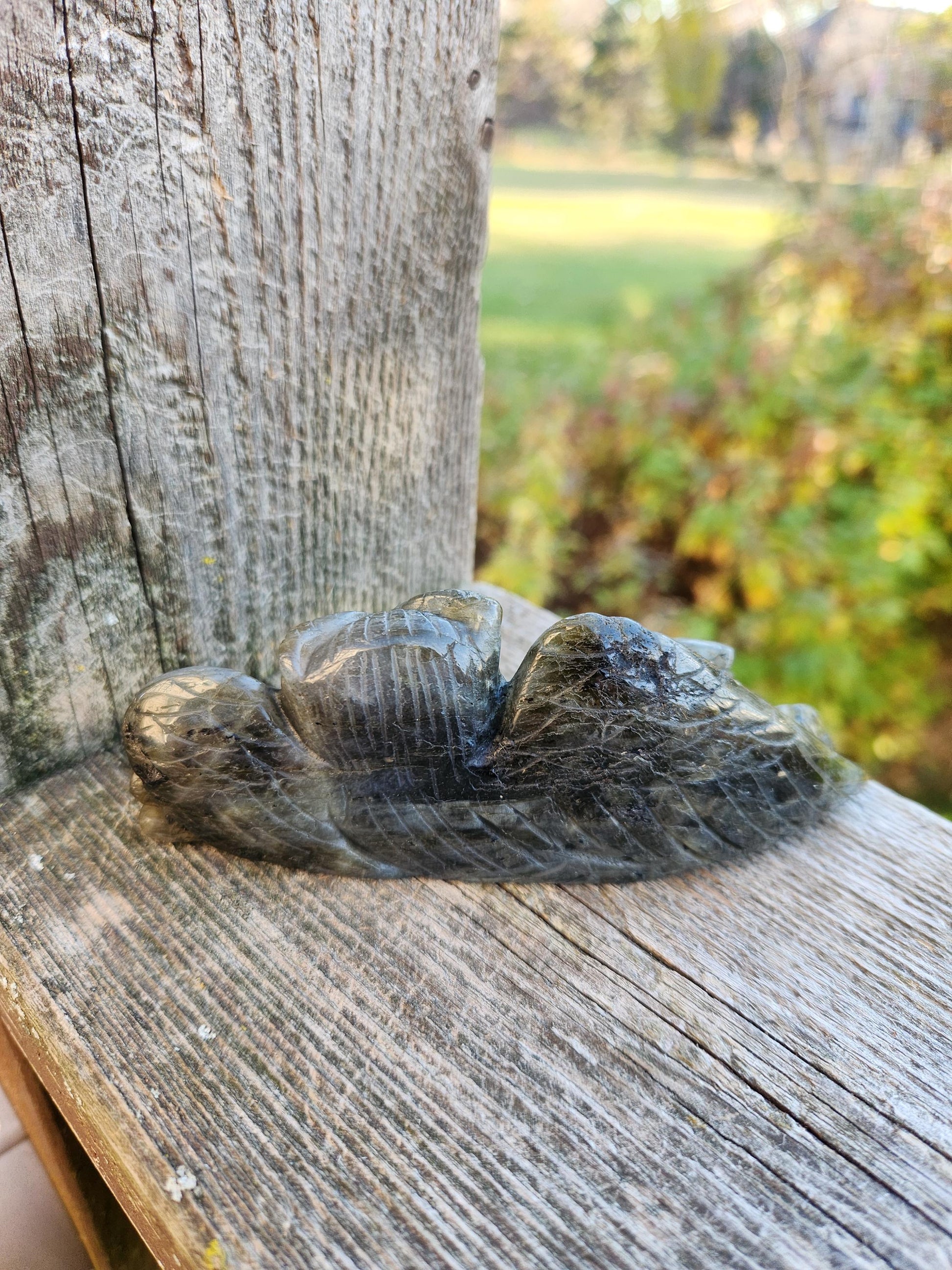Carved Labradorite Crystal Carving of Two Owls, Flash