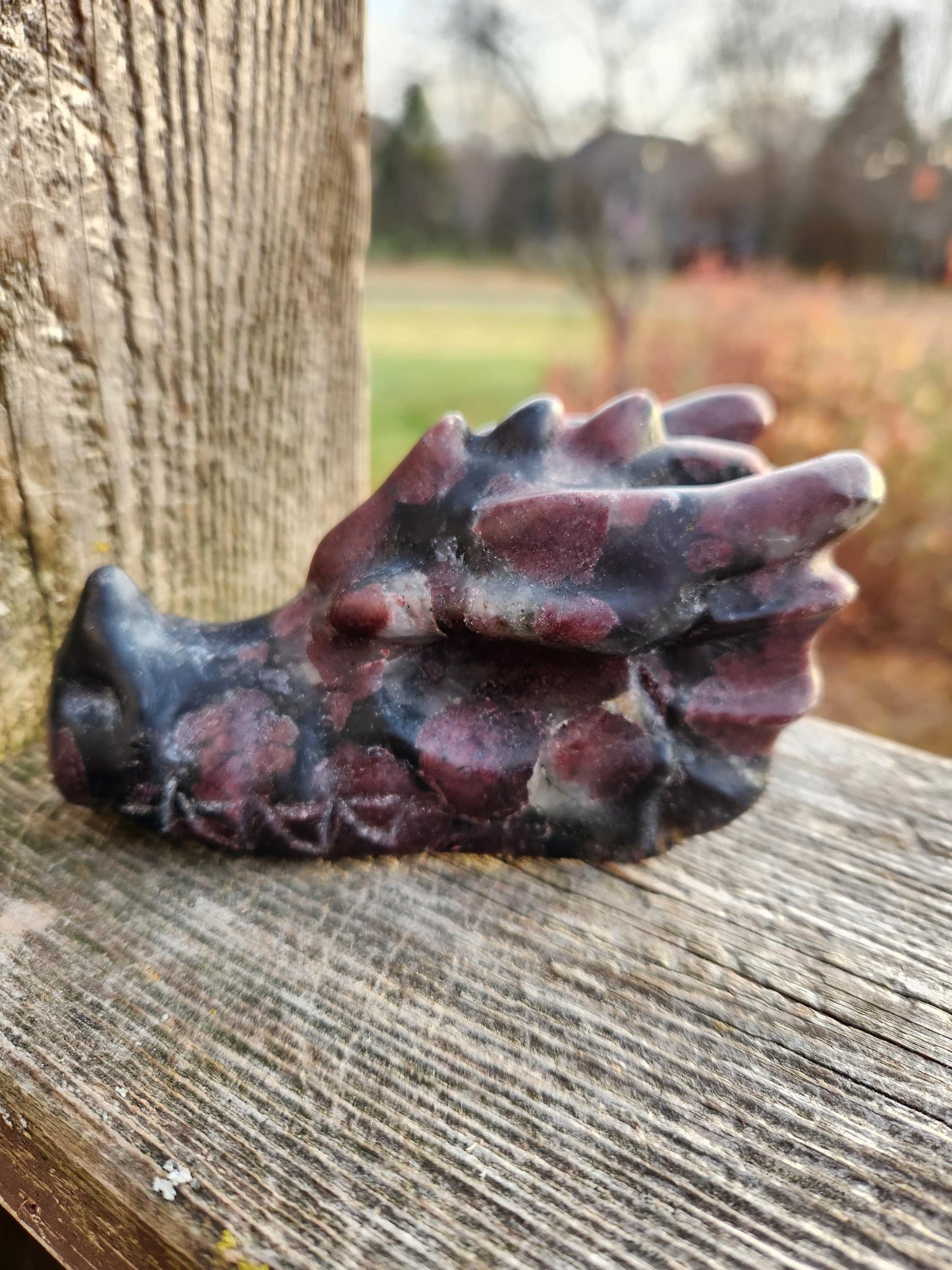 Garnet with Fireworks or Arfvedsonite Crystal Dragon Head Carving - DnD, Decor