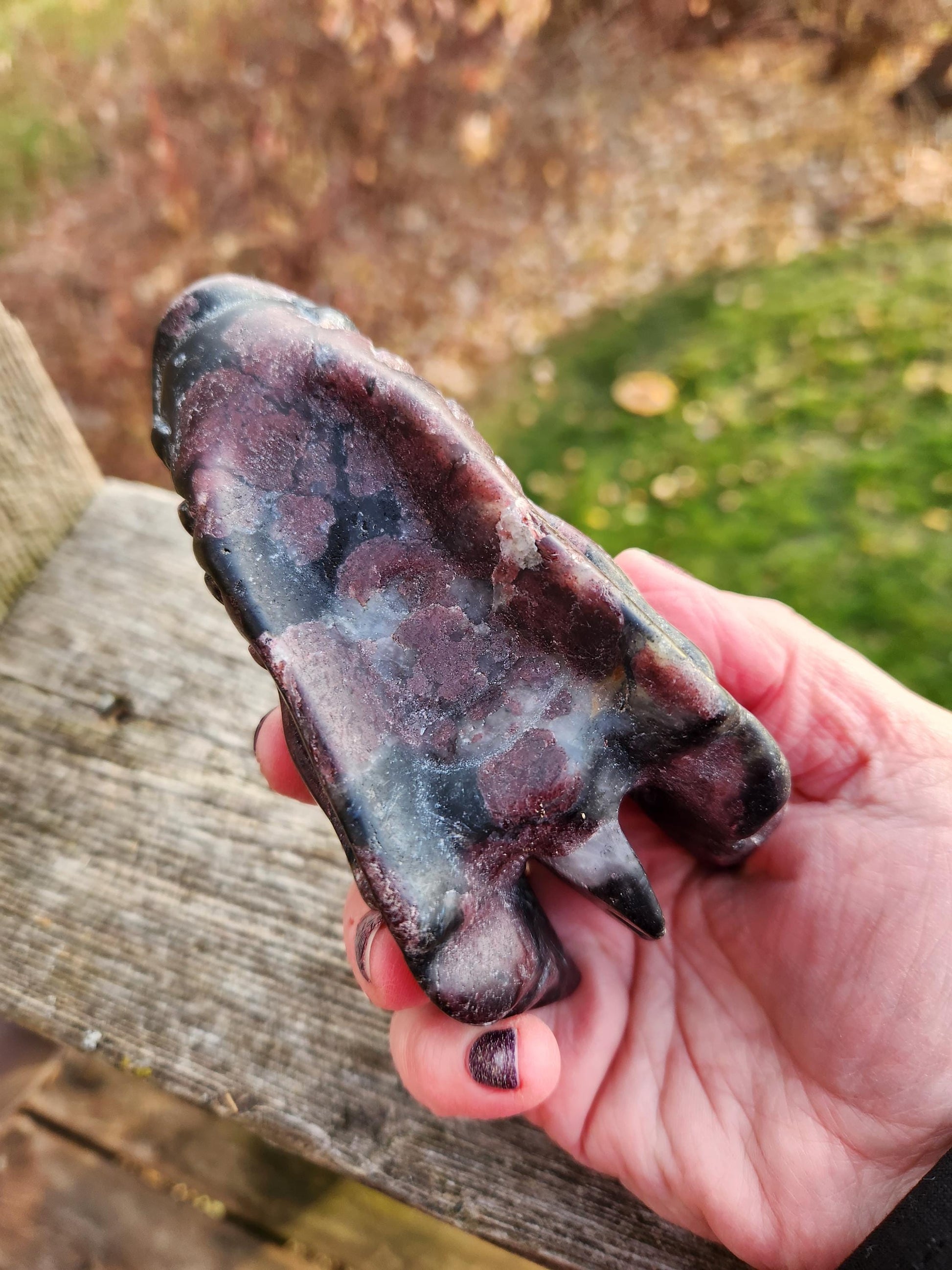 Garnet with Fireworks or Arfvedsonite Crystal Dragon Head Carving - DnD, Decor