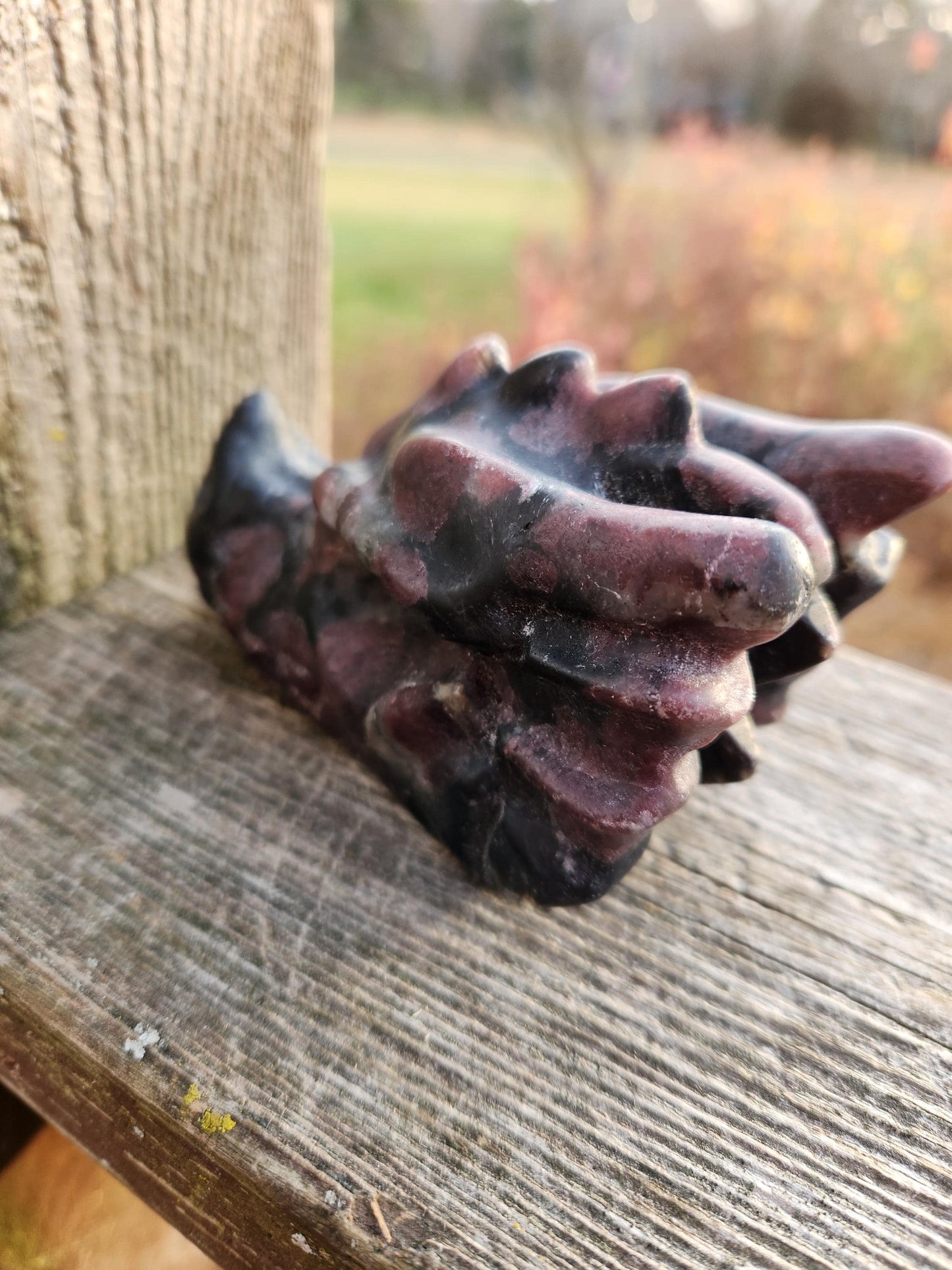 Garnet with Fireworks or Arfvedsonite Crystal Dragon Head Carving - DnD, Decor