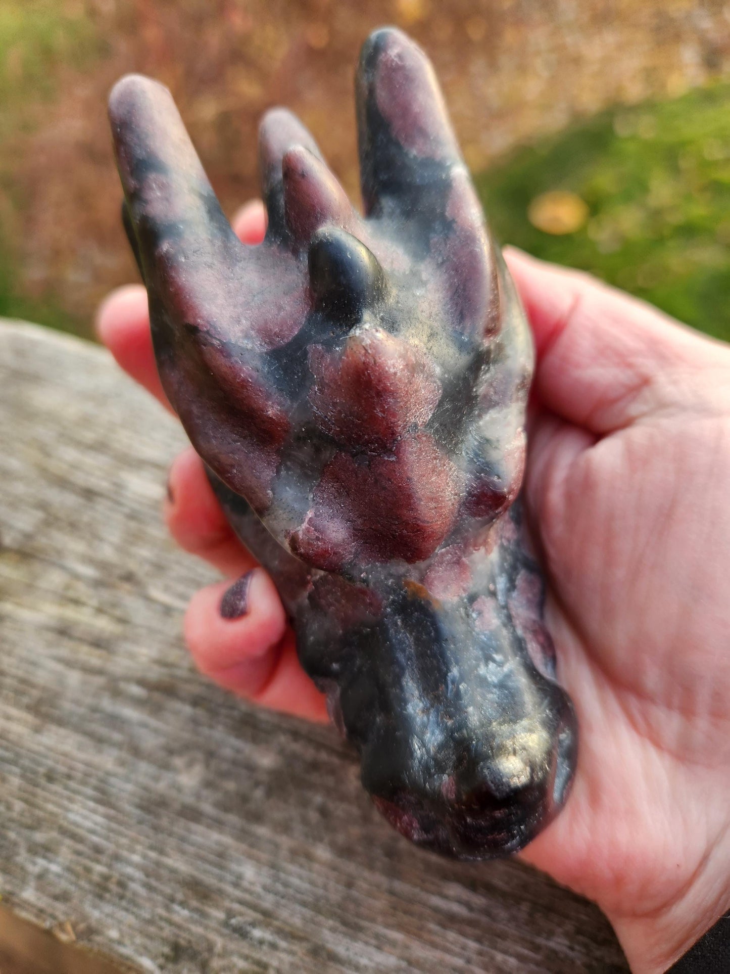 Garnet with Fireworks or Arfvedsonite Crystal Dragon Head Carving - DnD, Decor