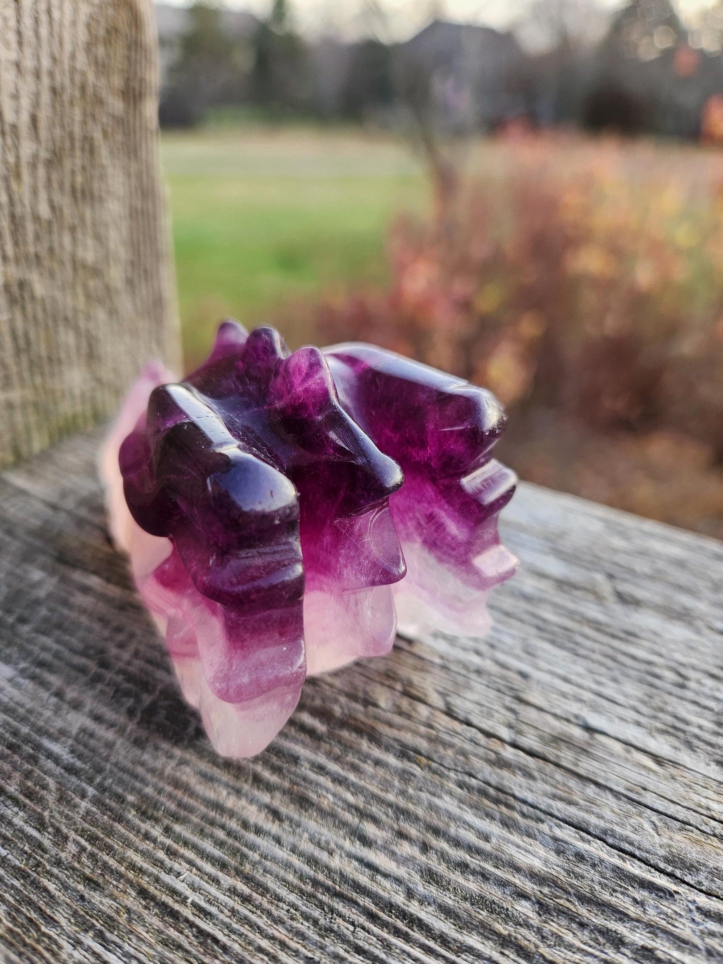 Natural Purple and White Fluorite Crystal Carved Dragon Head, DnD