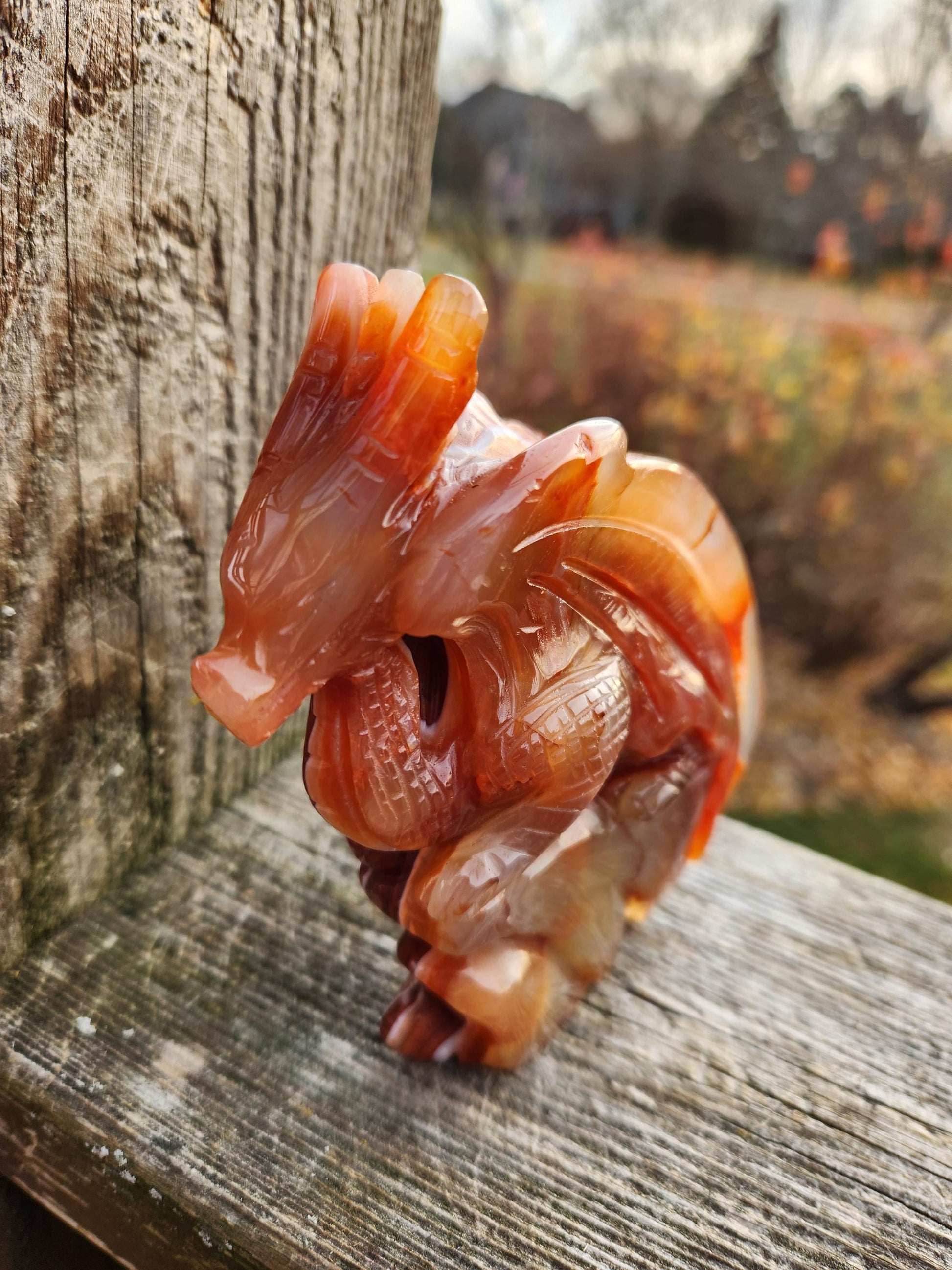 Banded Carnelian Agate Crystal Dragon: DnD, Fire Dragon