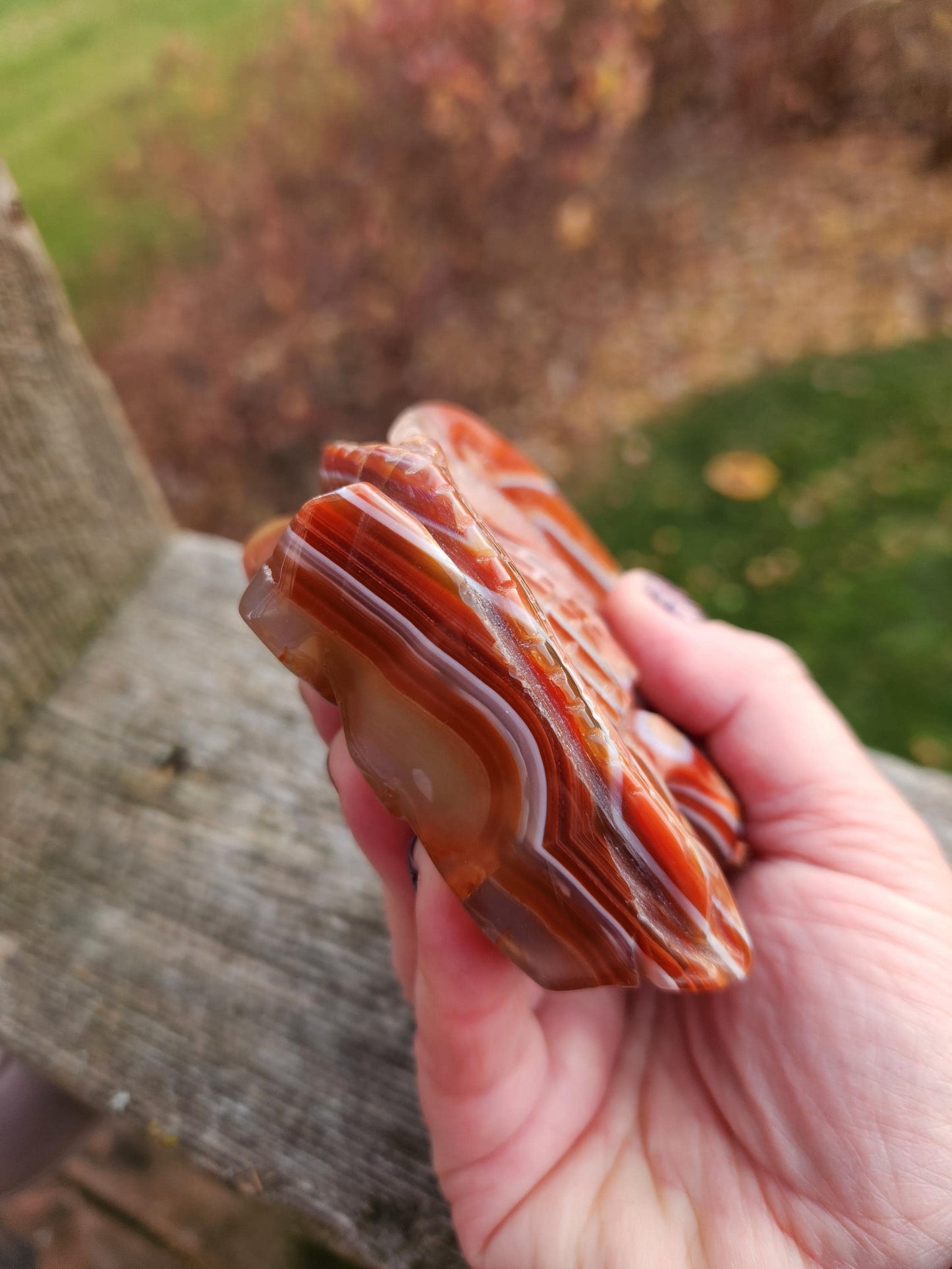 Banded Carnelian Agate Crystal Dragon: DnD, Fire Dragon