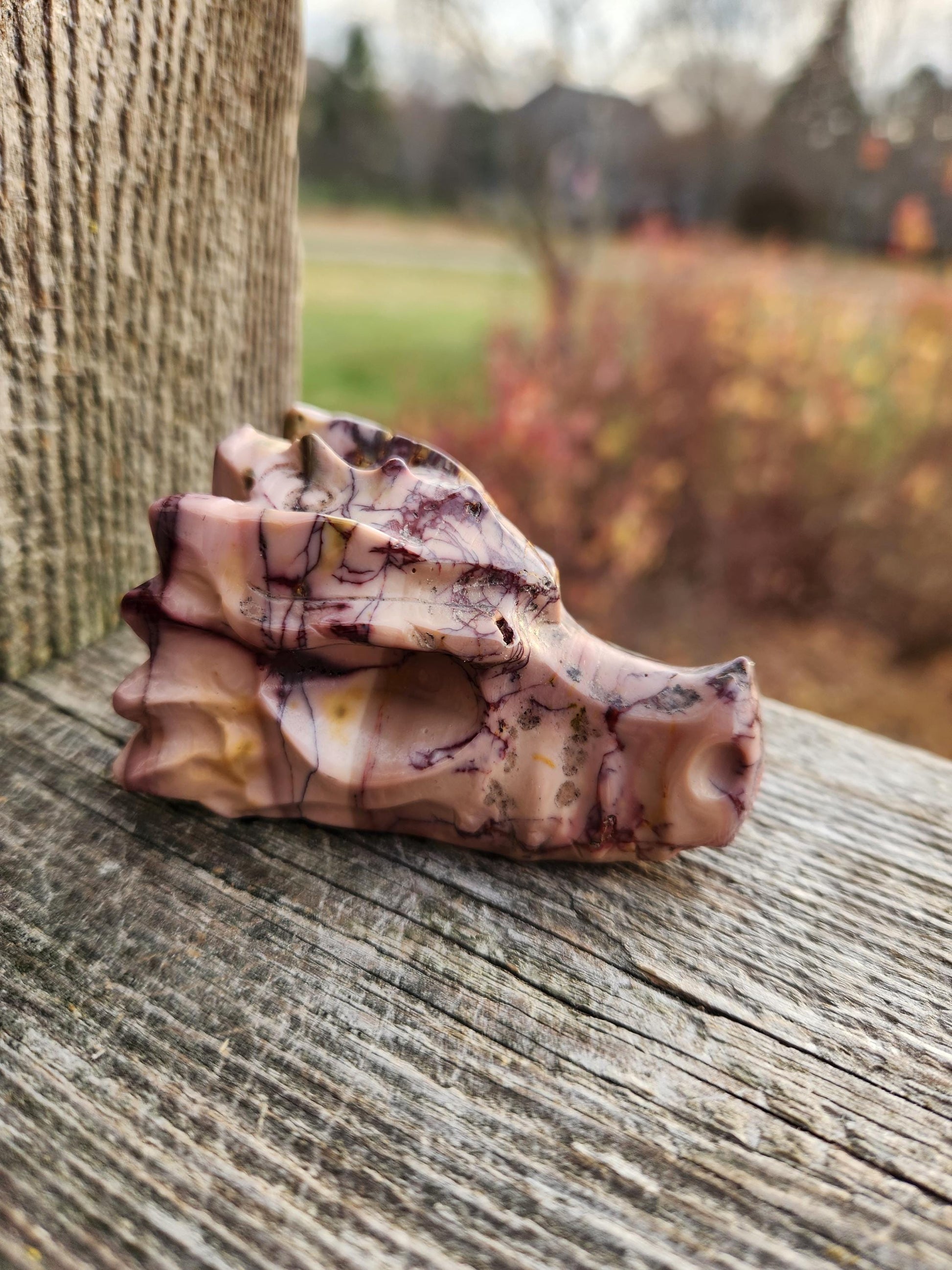 Polished Mookaite Jasper Crystal Dragon Head Small, Dendritic