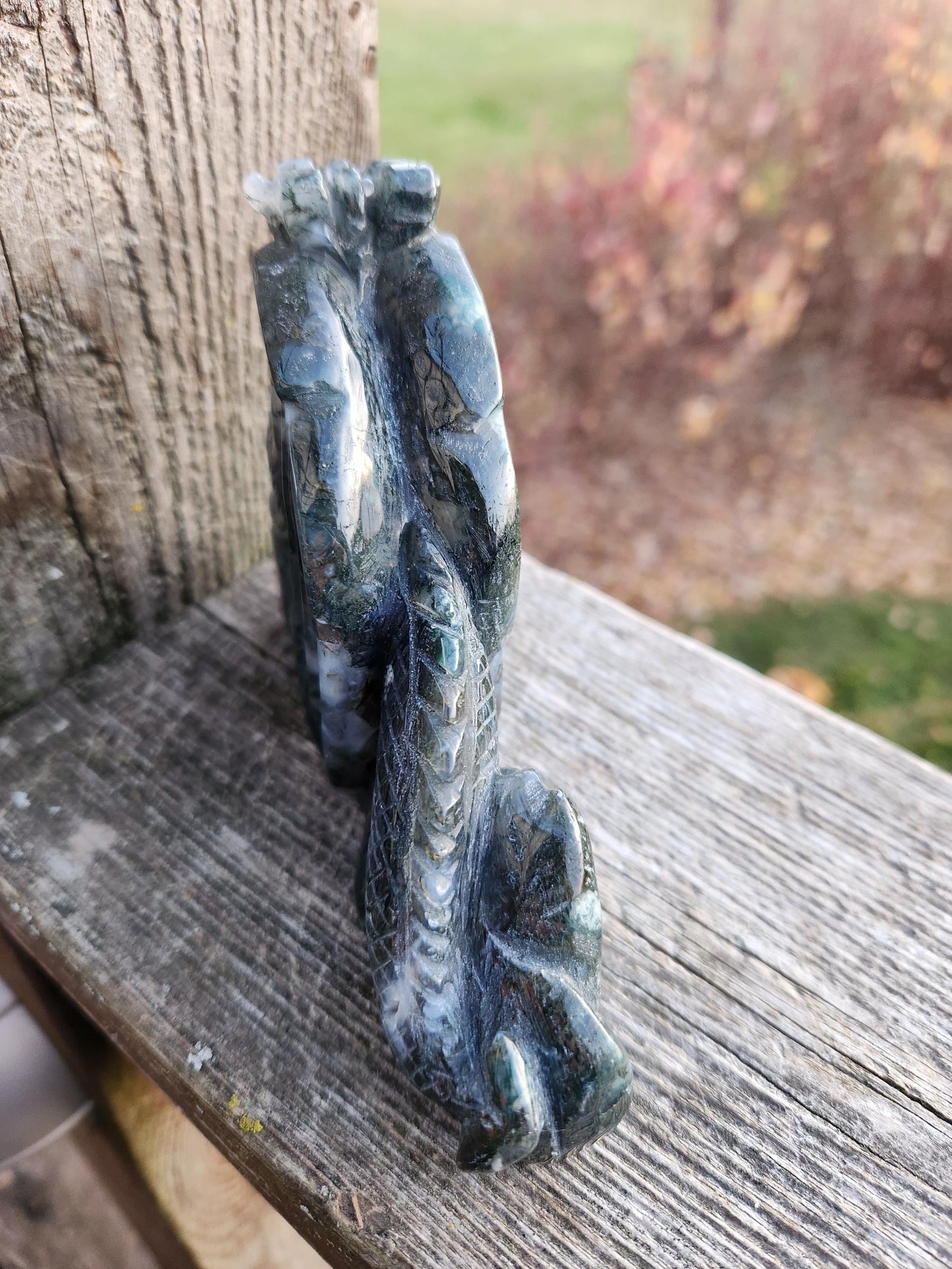 AAA Natural Moss Agate Crystal Carved Full Body Dragon, DND