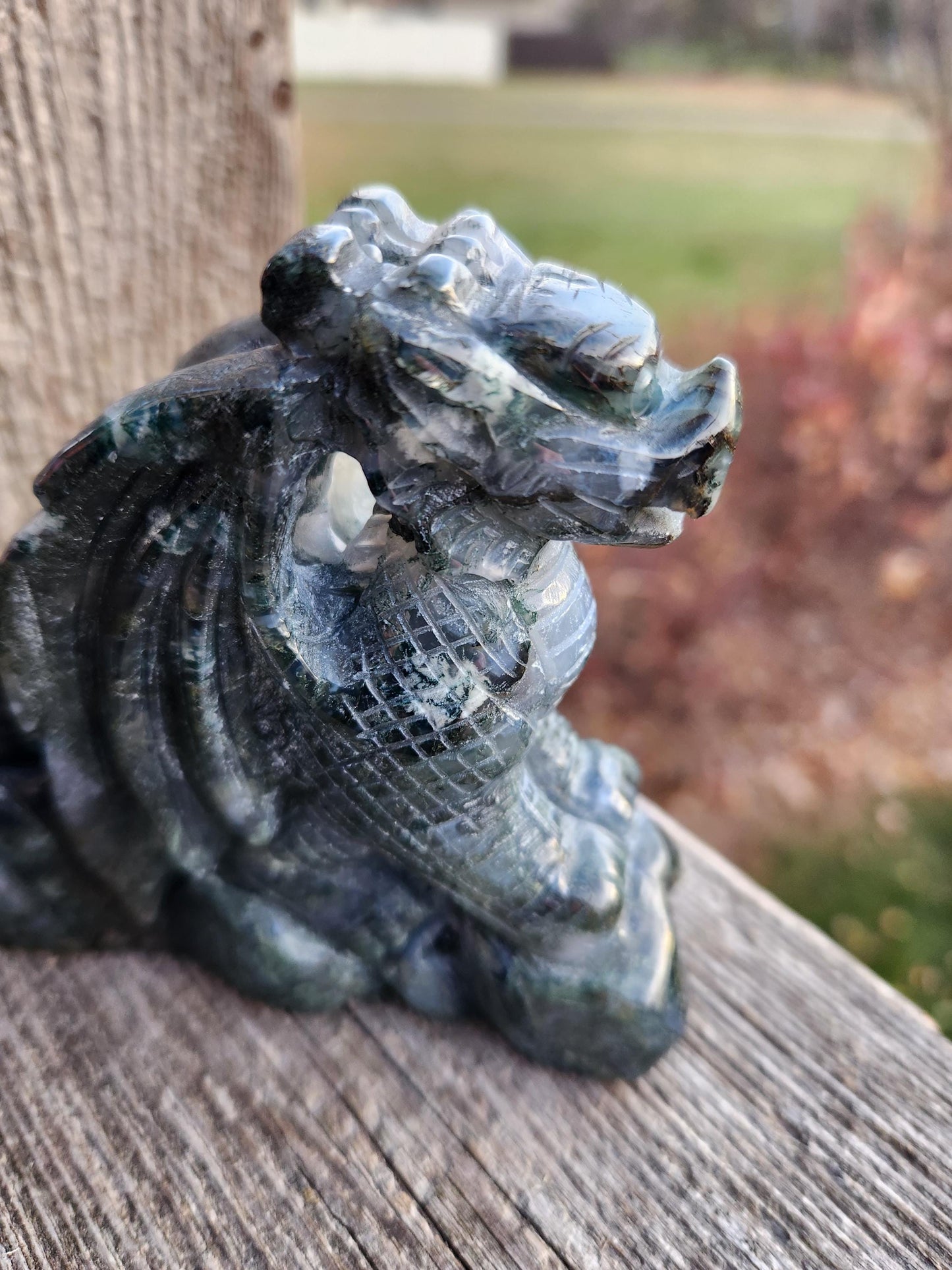 AAA Natural Moss Agate Crystal Carved Full Body Dragon, DND
