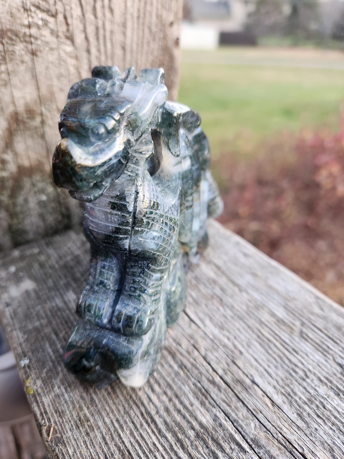 AAA Natural Moss Agate Crystal Carved Full Body Dragon, DND