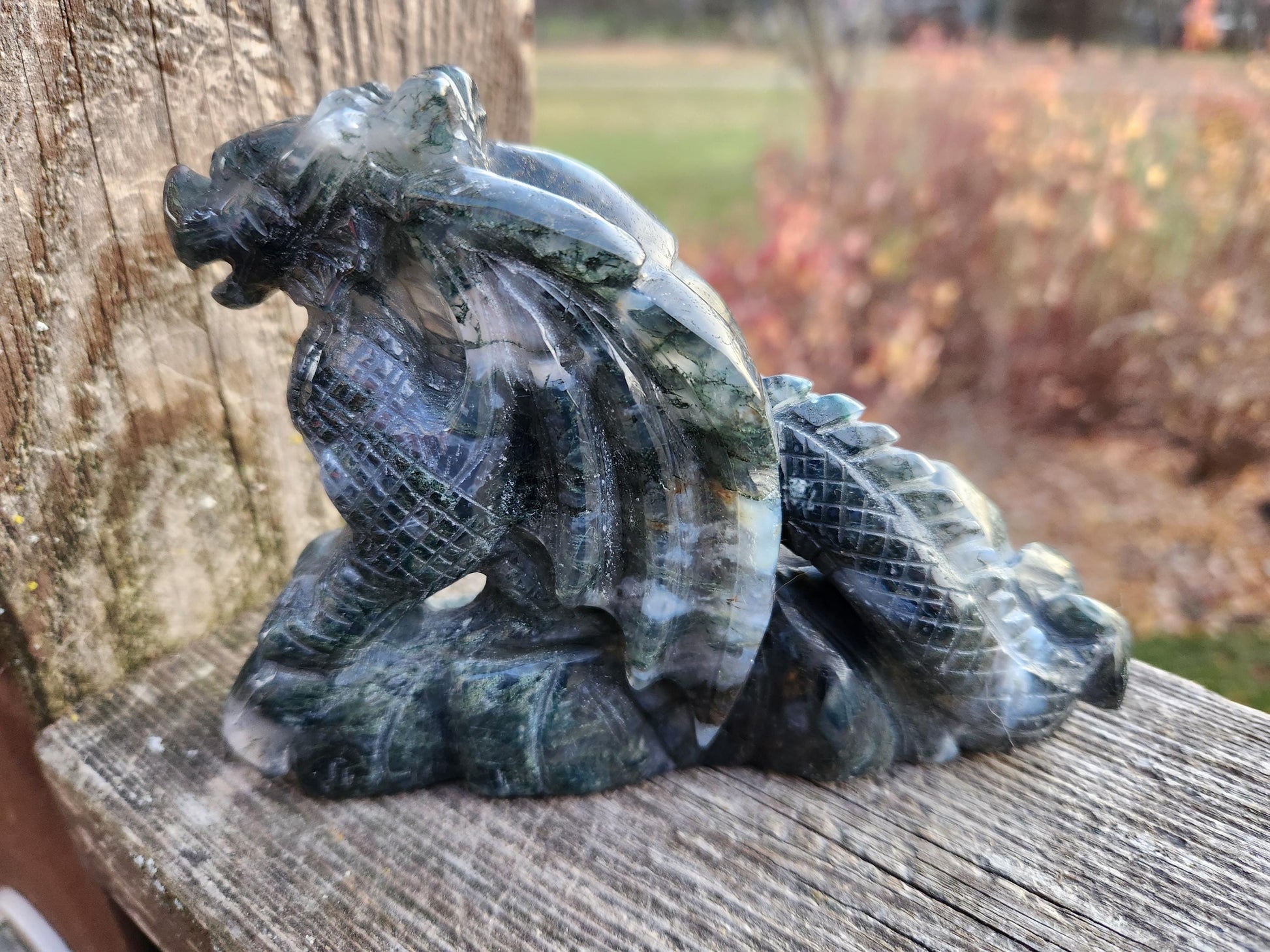AAA Natural Moss Agate Crystal Carved Full Body Dragon, DND