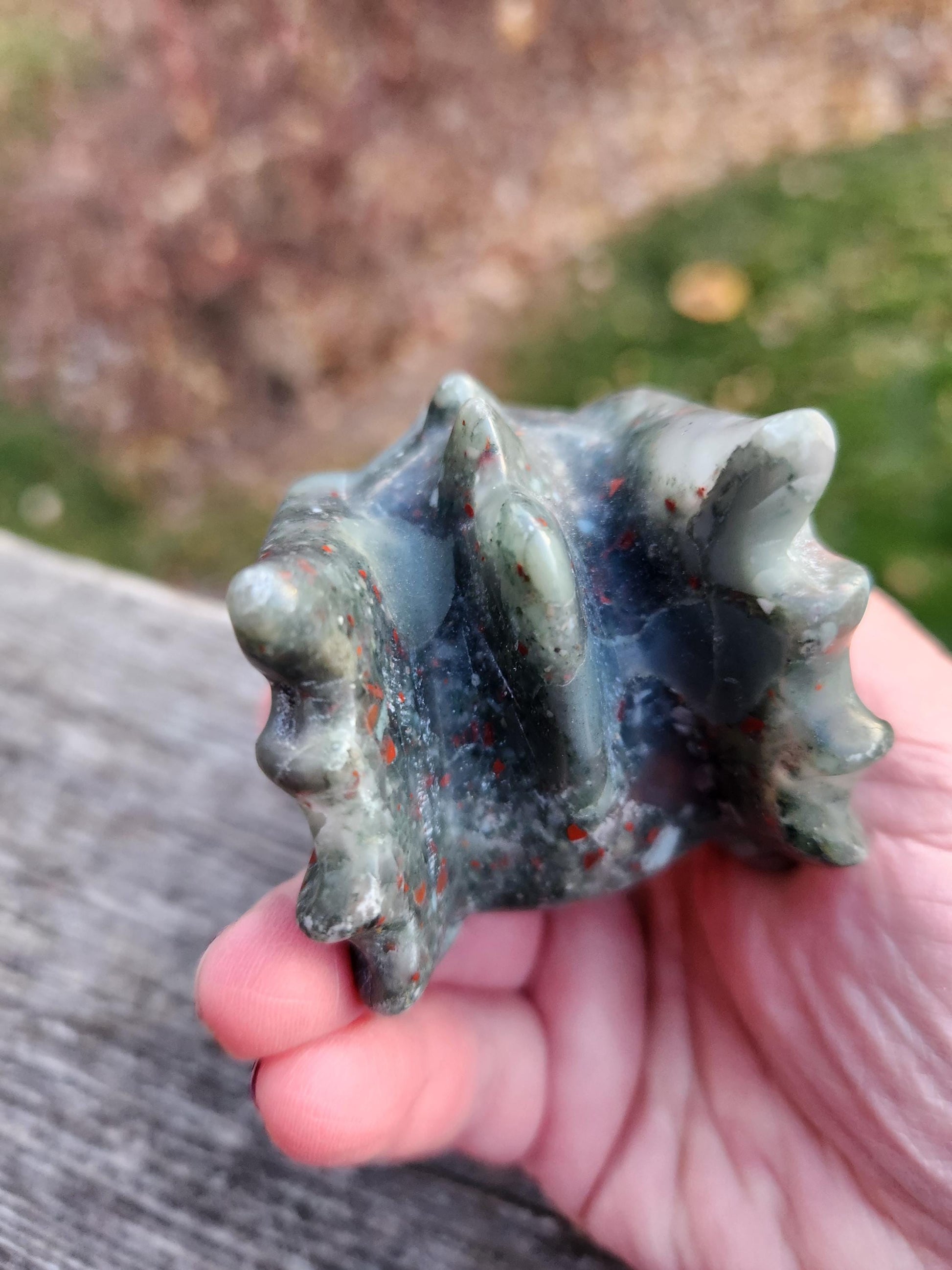 High Polished African Bloodstone Jasper Carved Dragon Head Crystal Stone, DnD