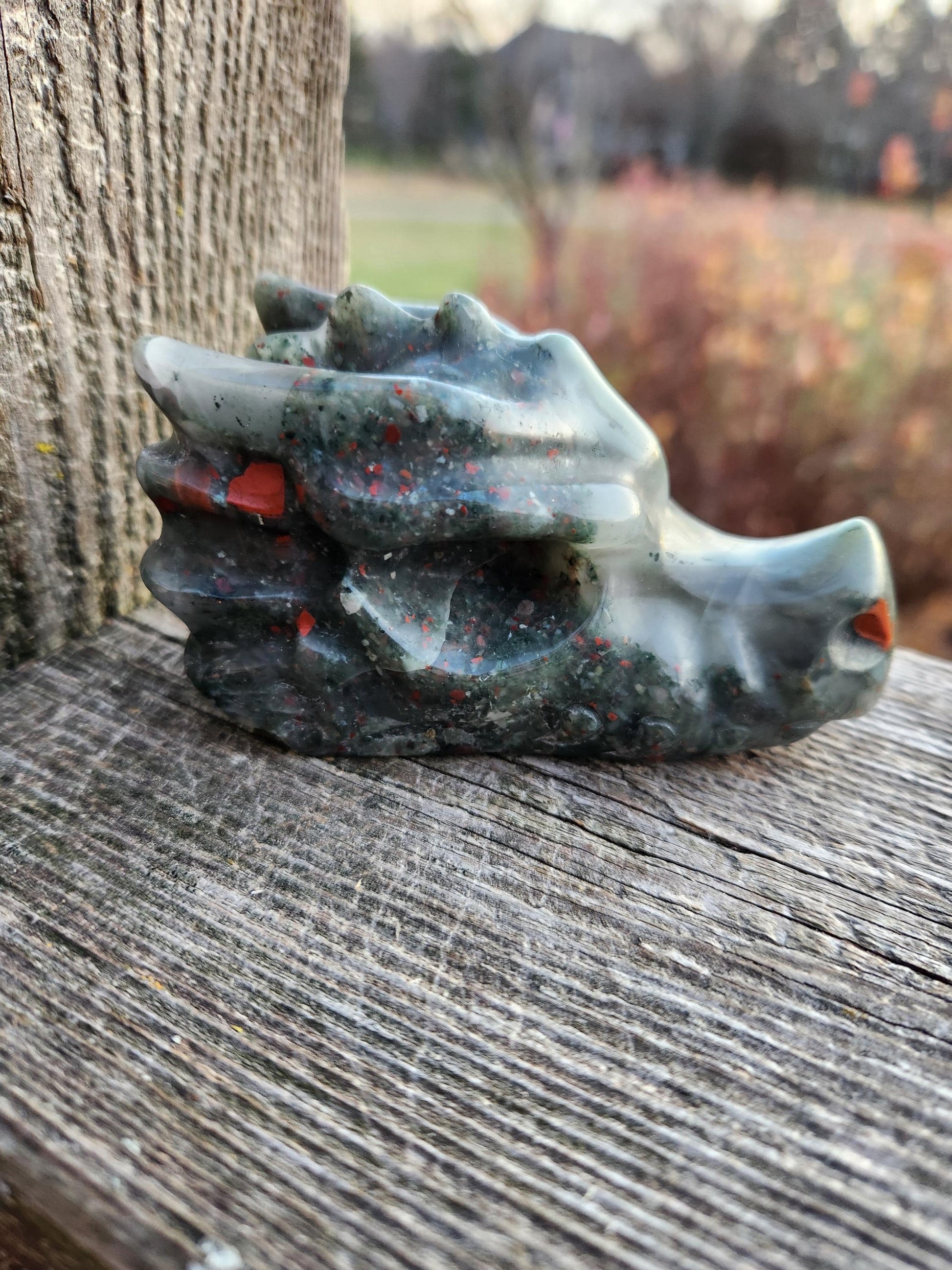 High Polished African Bloodstone Jasper Carved Dragon Head Crystal Stone, DnD