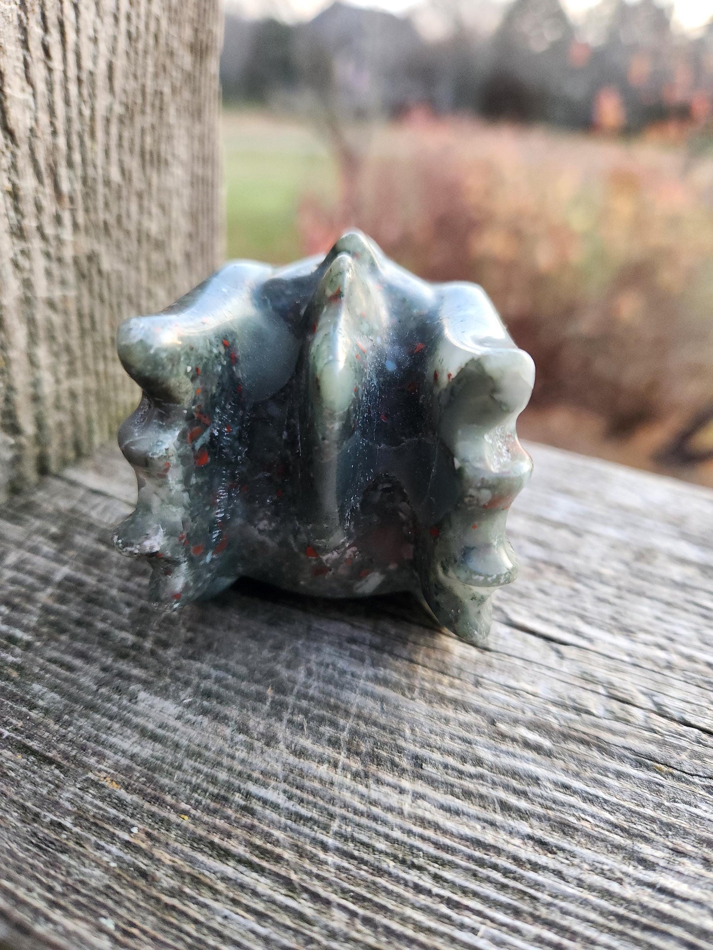 High Polished African Bloodstone Jasper Carved Dragon Head Crystal Stone, DnD