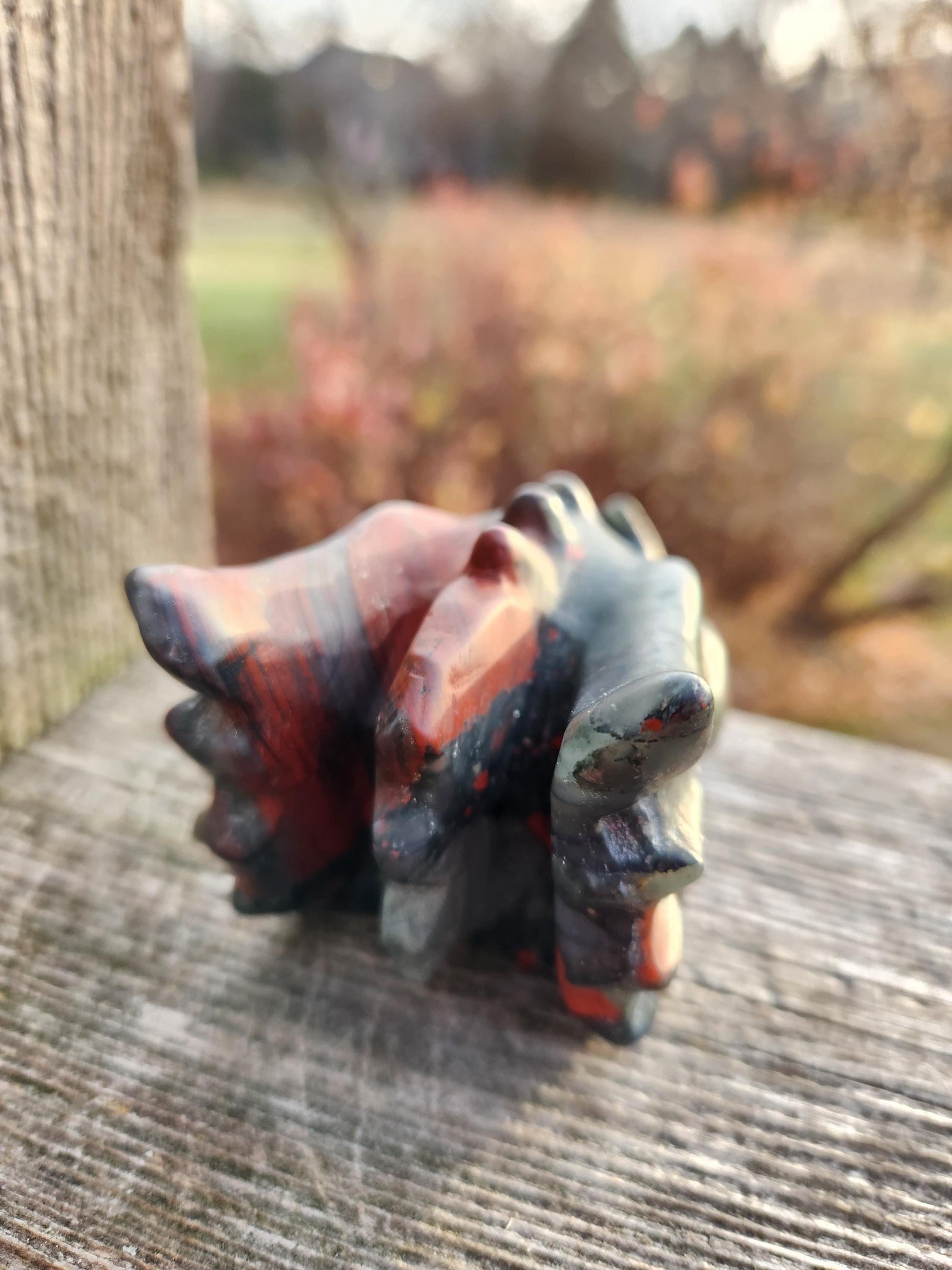 High Polished African Bloodstone Jasper Carved Dragon Head Crystal Stone, DnD
