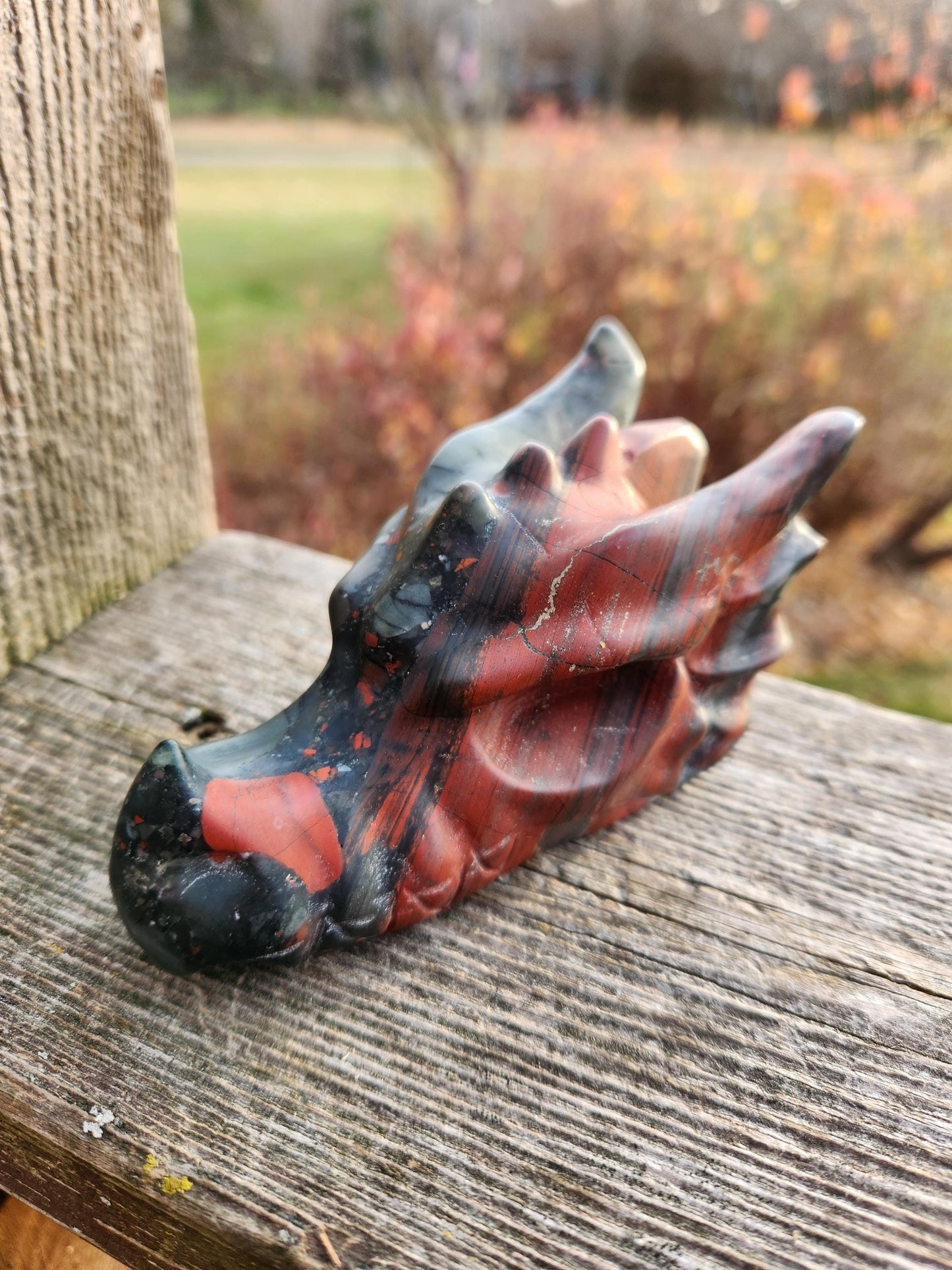 High Polished African Bloodstone Jasper Carved Dragon Head Crystal Stone, DnD