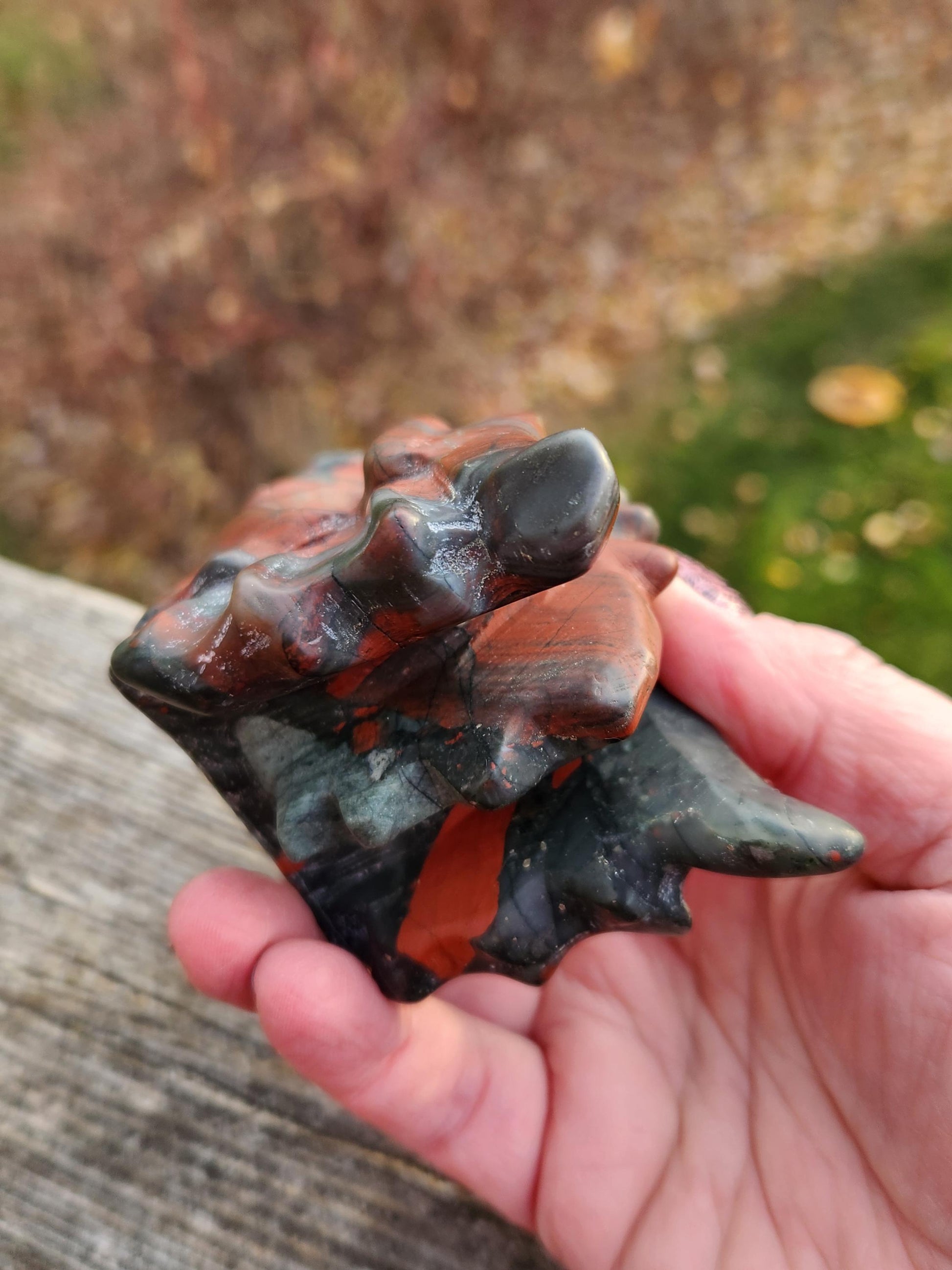 High Polished African Bloodstone Jasper Carved Dragon Head Crystal Stone, DnD