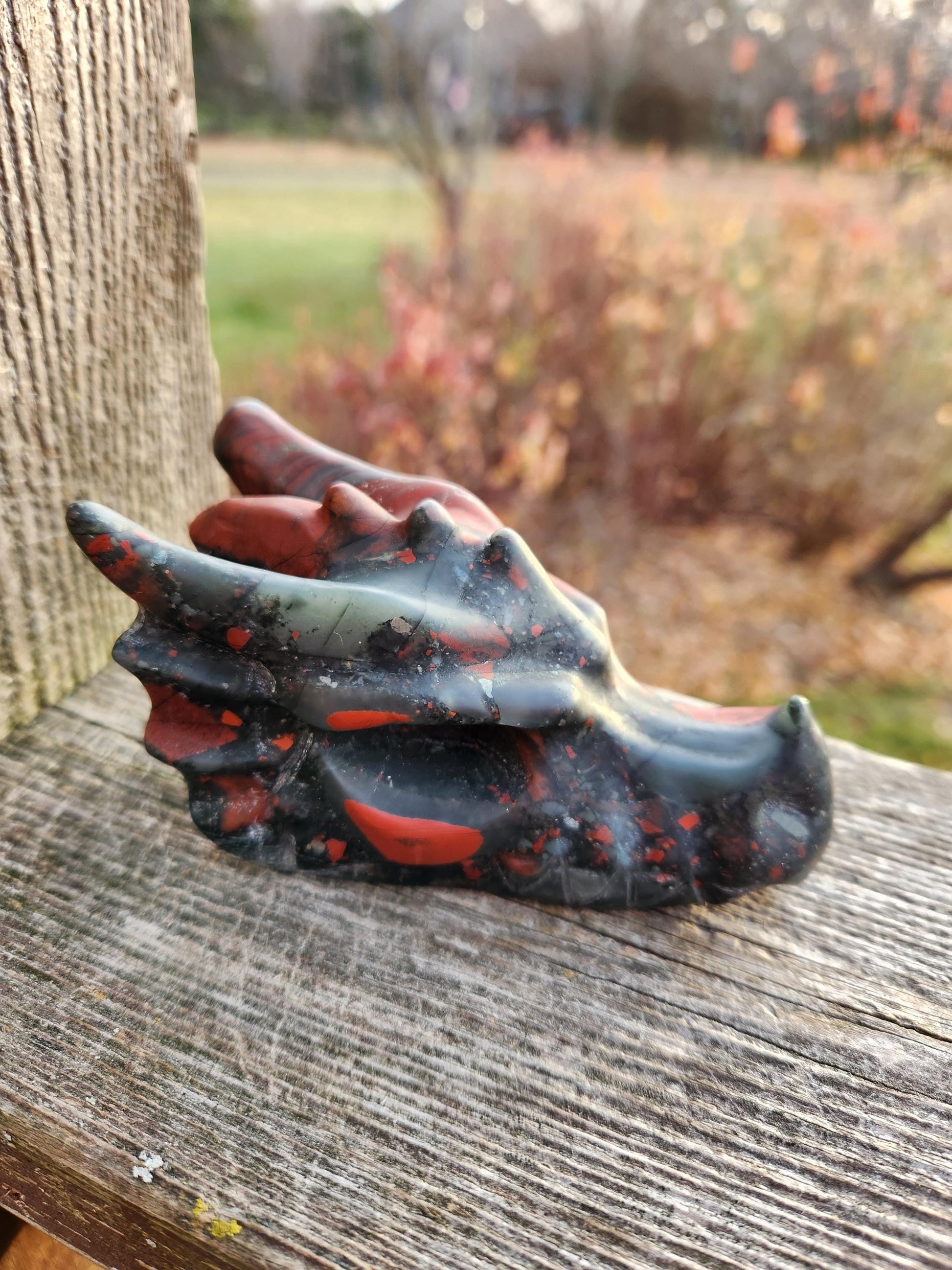 High Polished African Bloodstone Jasper Carved Dragon Head Crystal Stone, DnD