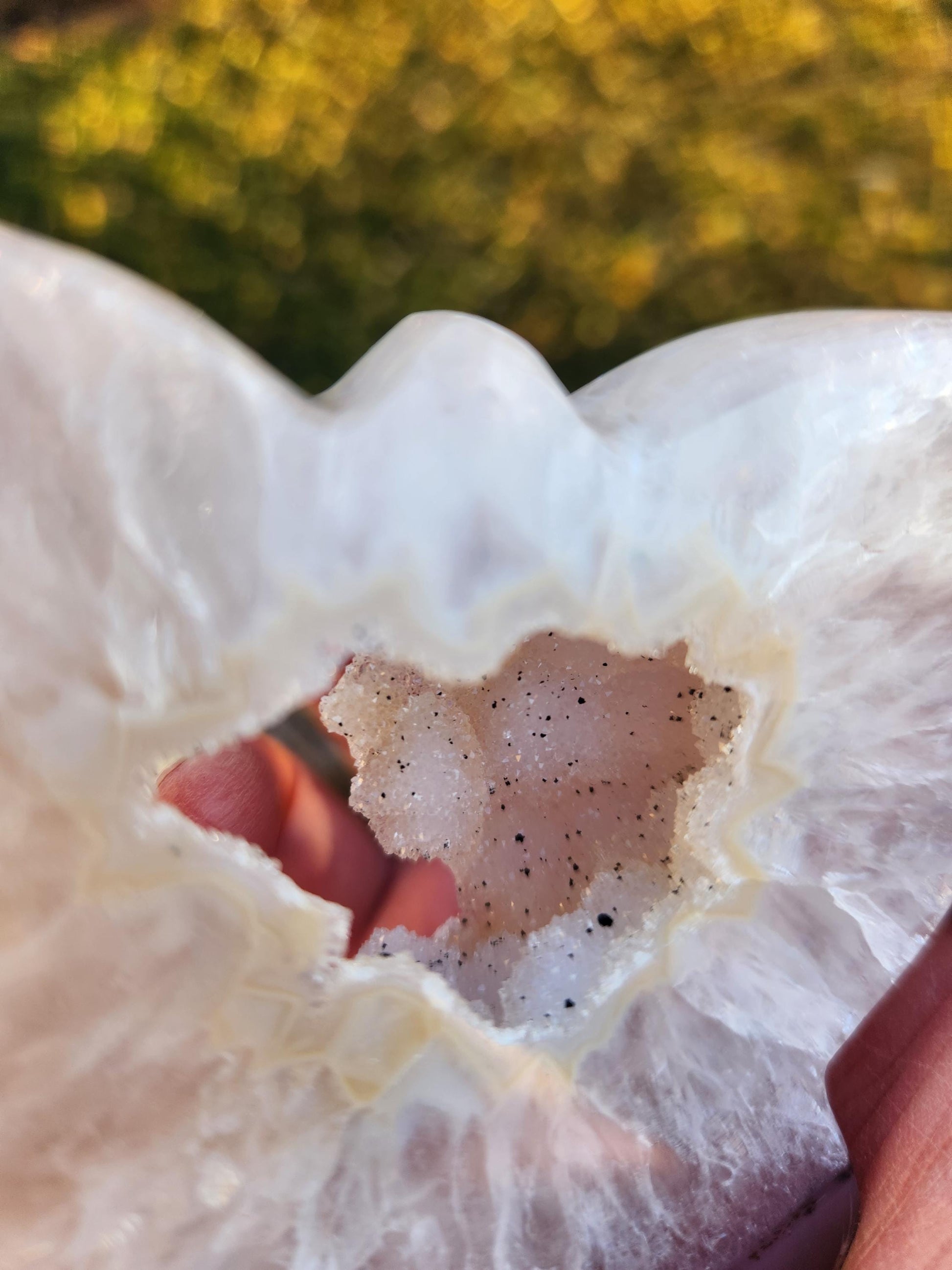 Stunningly Beautiful White and Purple Tipped Druzy Thick Slab Cut Agate Butterfly with black metal stand, Portal, Rainbows!
