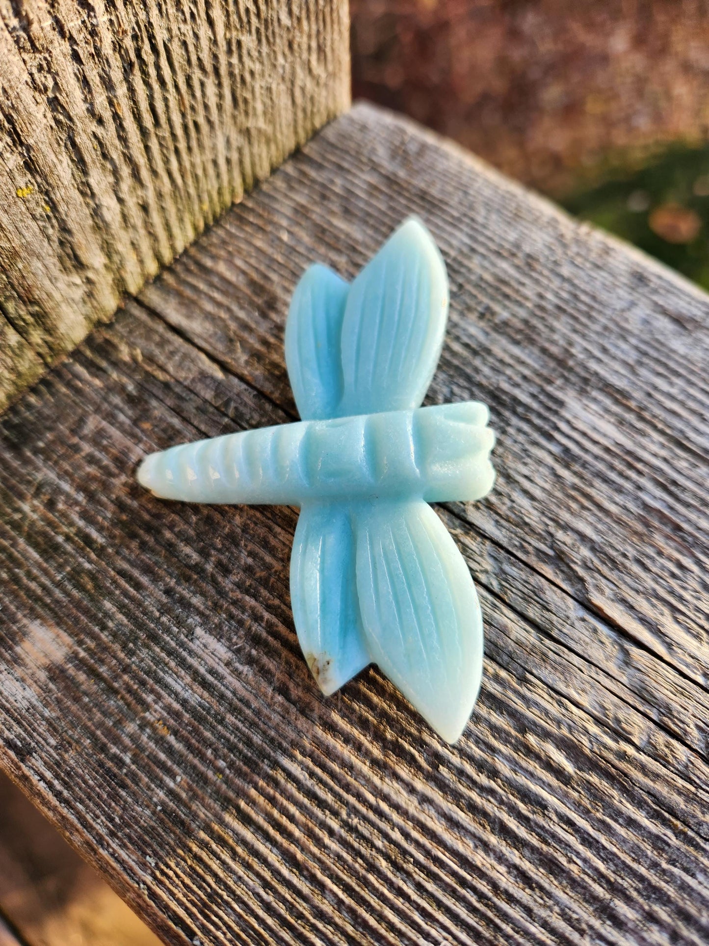 AAA Blue Aragonite Unique Crystal Dragonfly