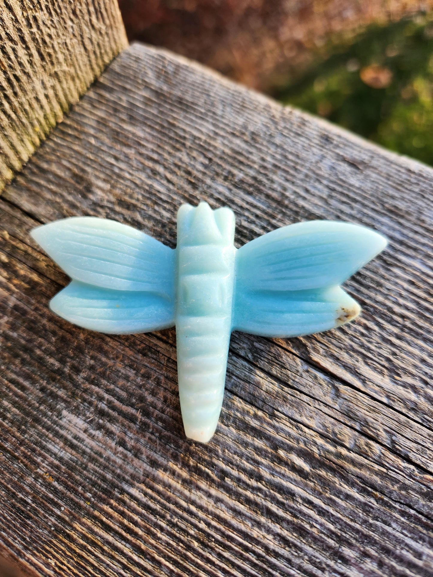 AAA Blue Aragonite Unique Crystal Dragonfly