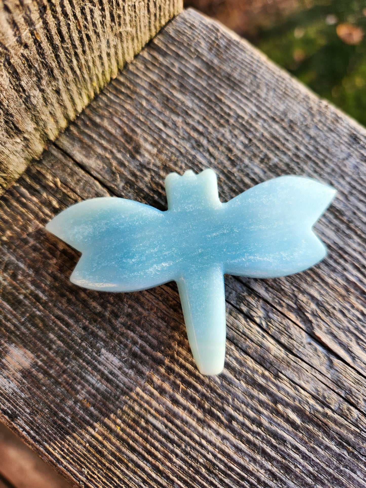 AAA Blue Aragonite Unique Crystal Dragonfly
