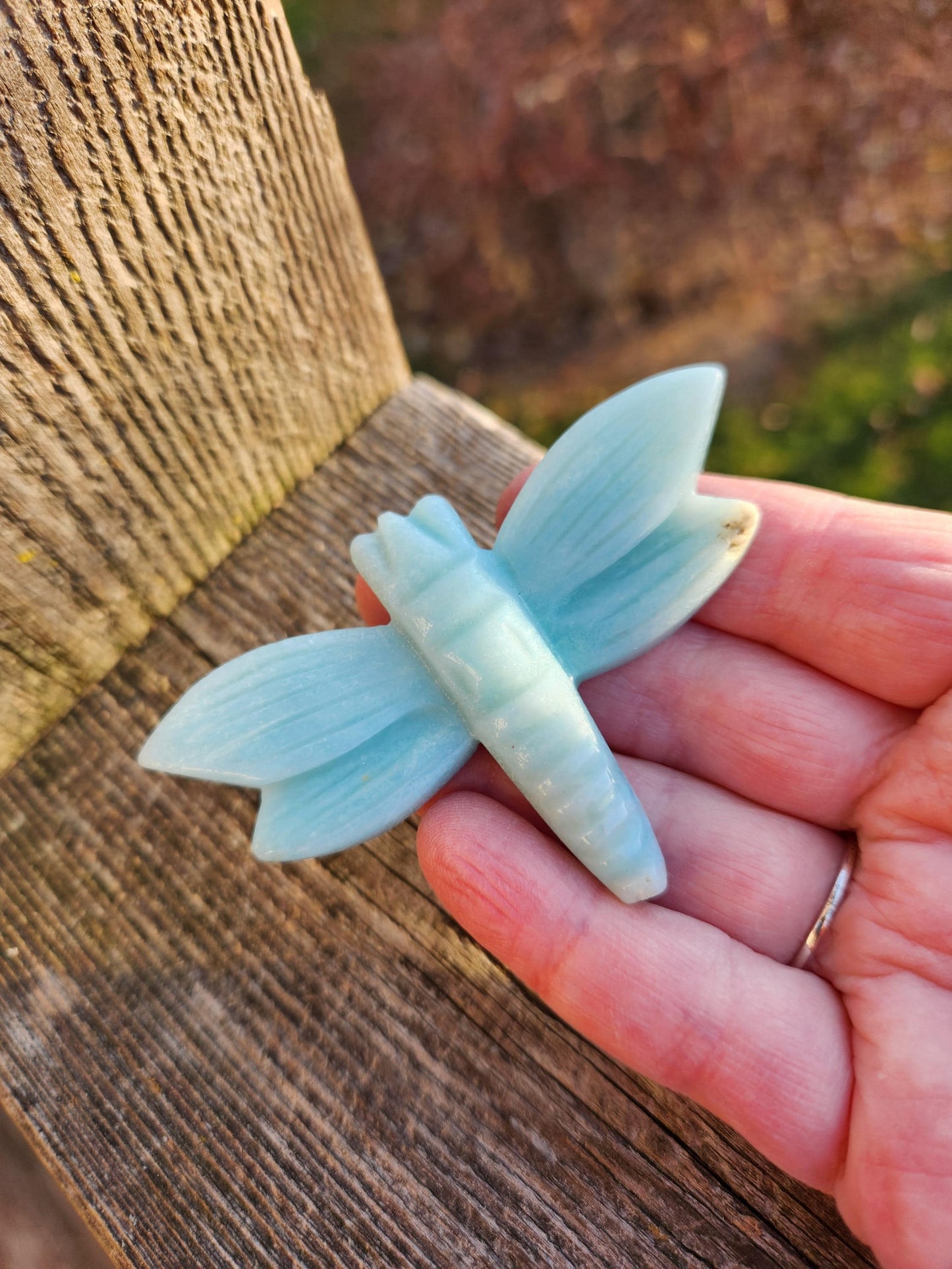 AAA Blue Aragonite Unique Crystal Dragonfly