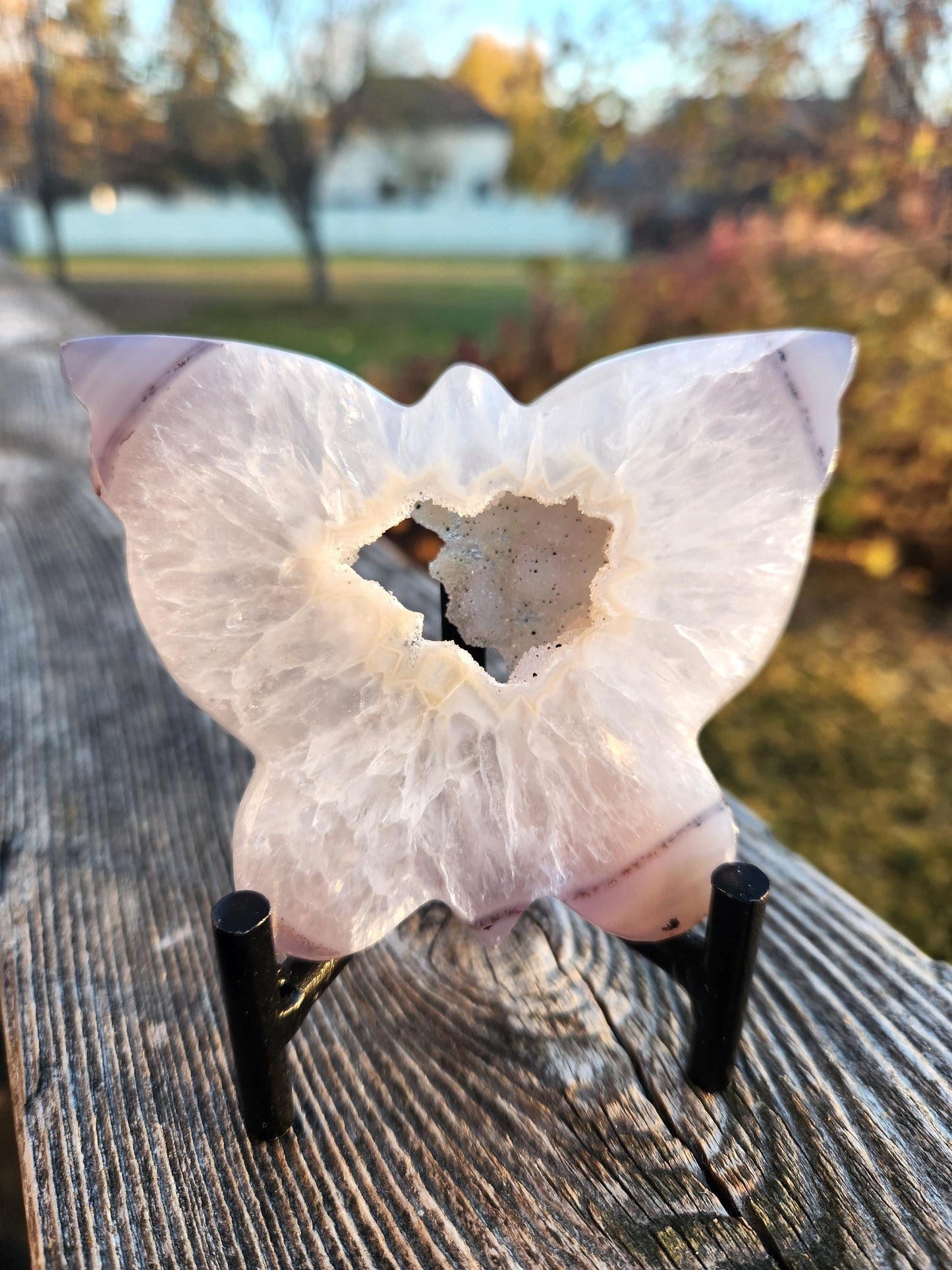 Stunningly Beautiful White and Purple Tipped Druzy Thick Slab Cut Agate Butterfly with black metal stand, Portal, Rainbows!