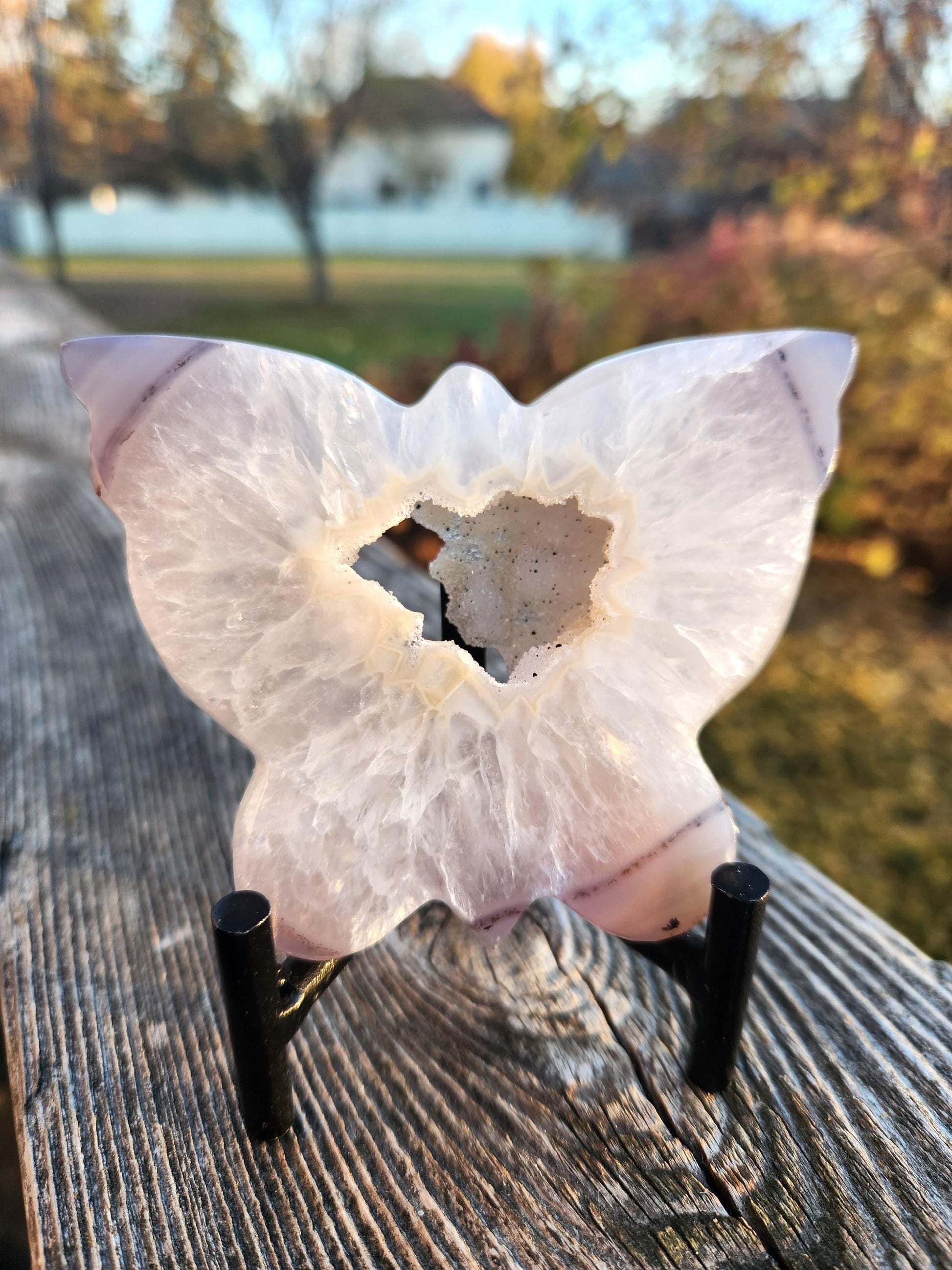 Stunningly Beautiful White and Purple Tipped Druzy Thick Slab Cut Agate Butterfly with black metal stand, Portal, Rainbows!
