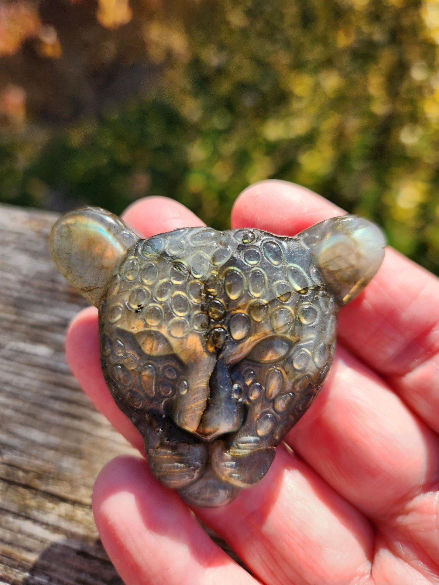 Very Unique Labradorite Leopard Head Carved Crystal with flash, Palm Sized