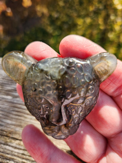 Very Unique Labradorite Leopard Head Carved Crystal with flash, Palm Sized