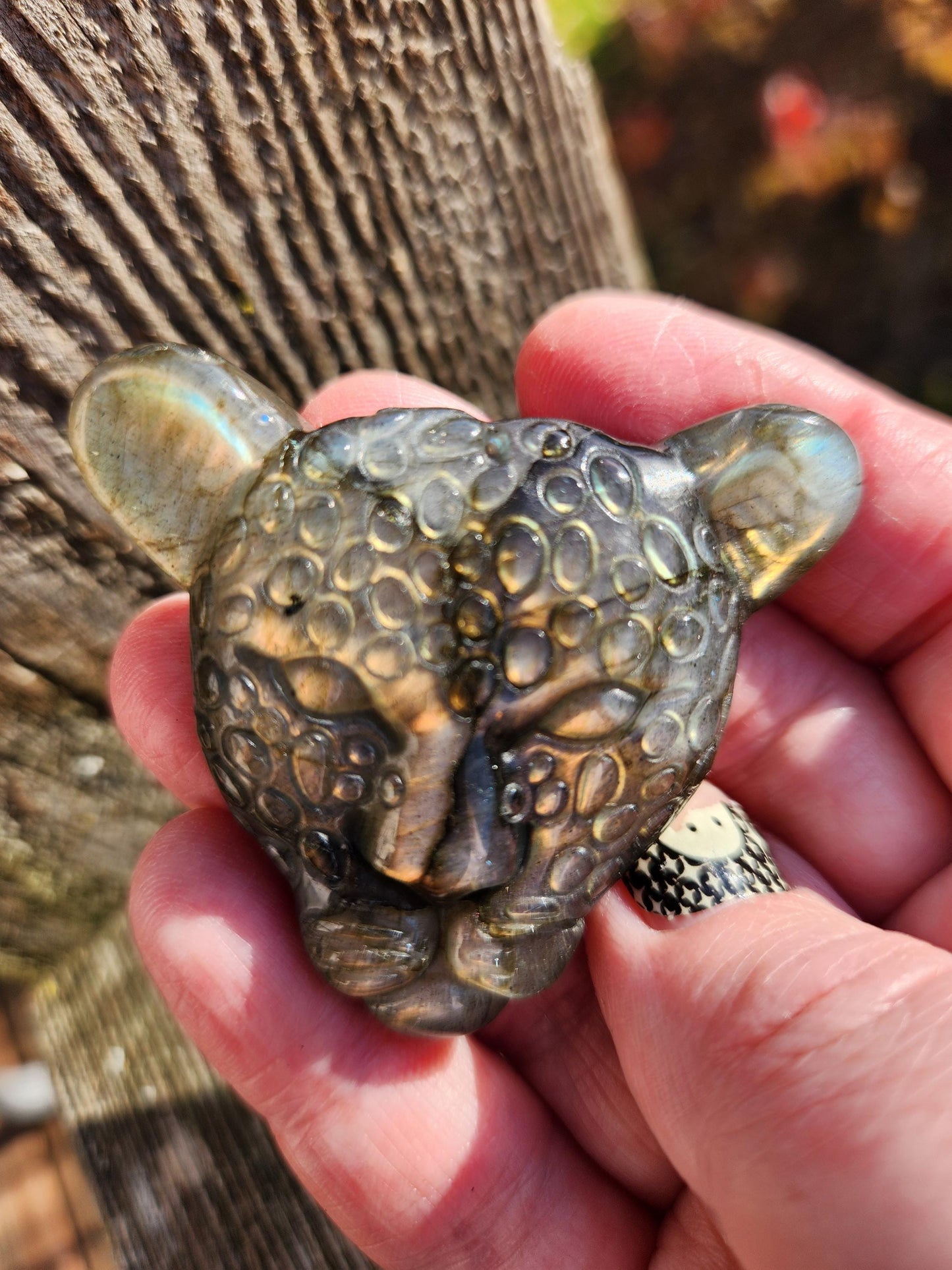 Very Unique Labradorite Leopard Head Carved Crystal with flash, Palm Sized