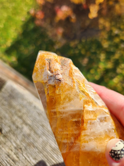 AAA Golden Healer Crystal Tower Point - Brazil Origin
