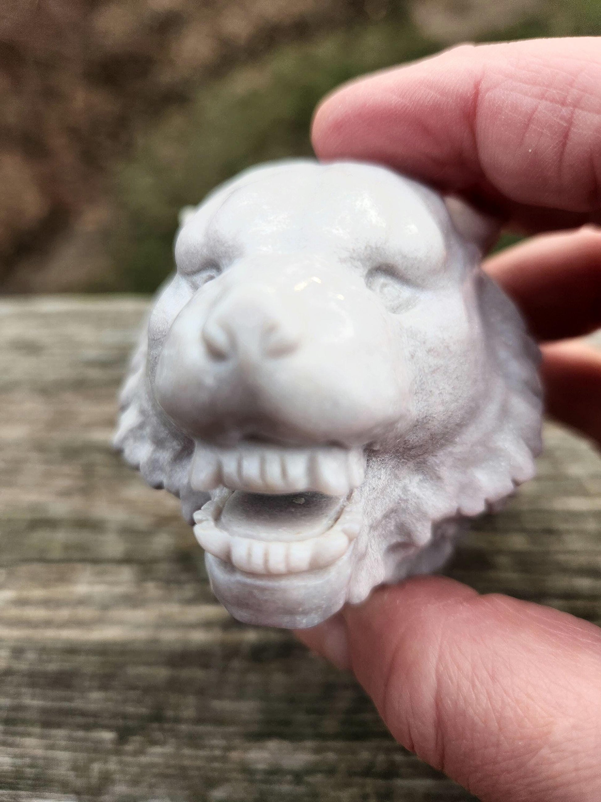 Crazy Unique Flower Agate Crystal Tiger Head