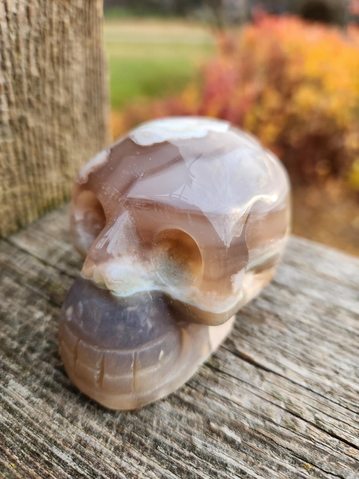 Flower Agate Crystal Skull with Flower Plumes