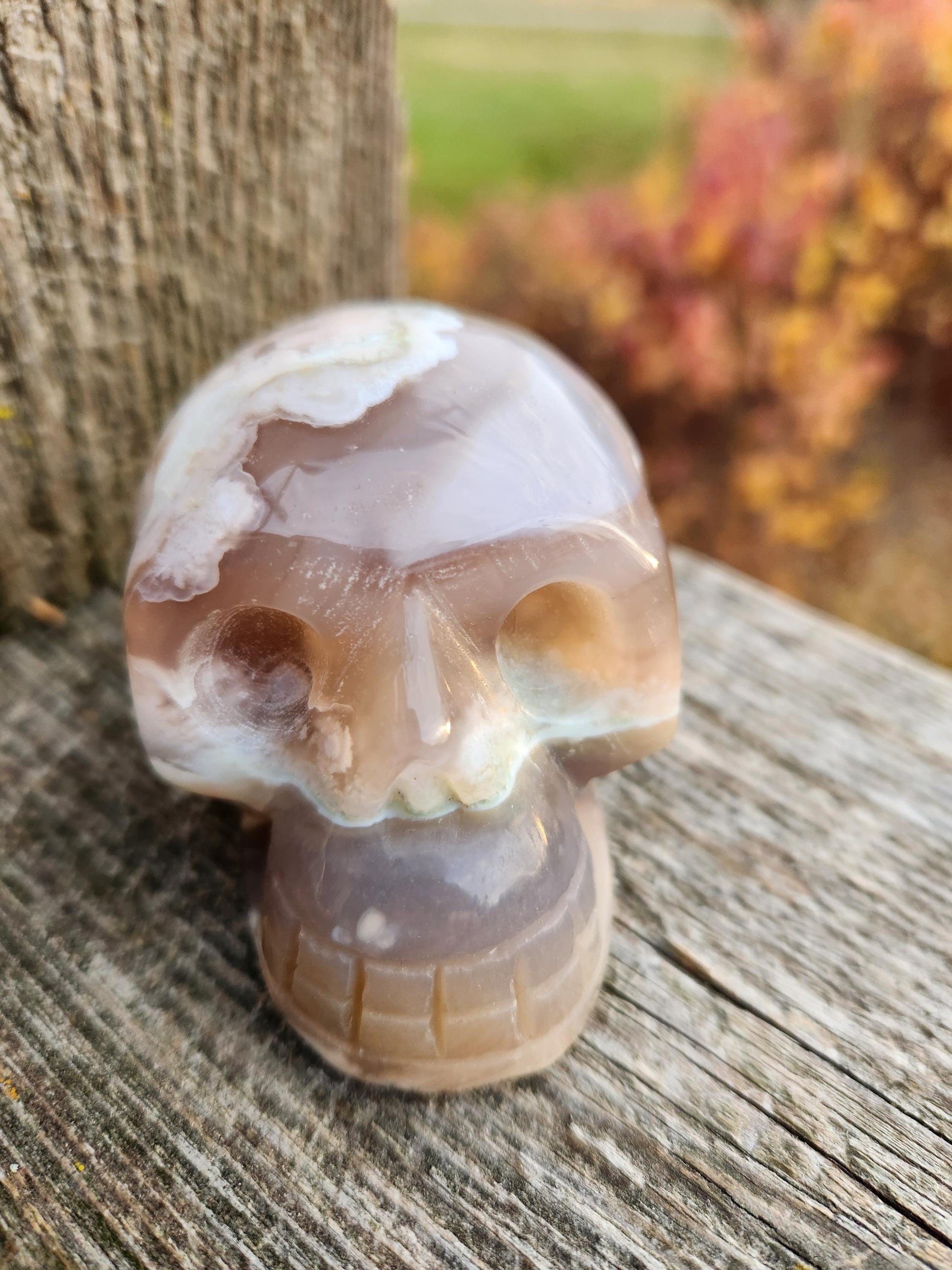 Flower Agate Crystal Skull with Flower Plumes