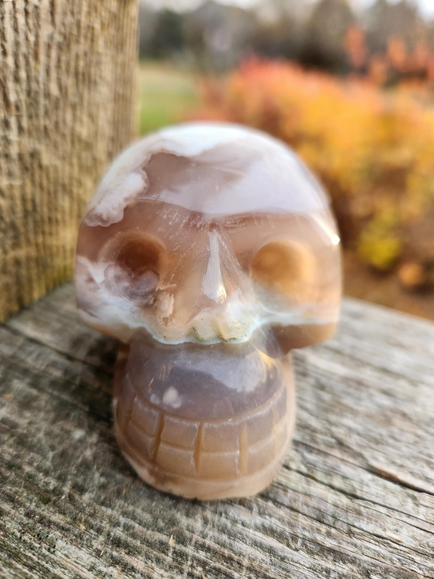 Flower Agate Crystal Skull with Flower Plumes