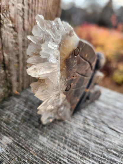 Super Unique Clear Quartz with Matrix Angel Or Fairy Carving Natural Stone Crystal