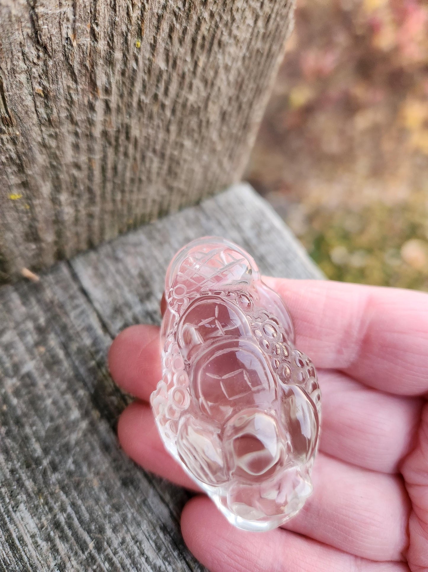 Slight Smoky Quartz Money Toad: AAA Crystal Carving