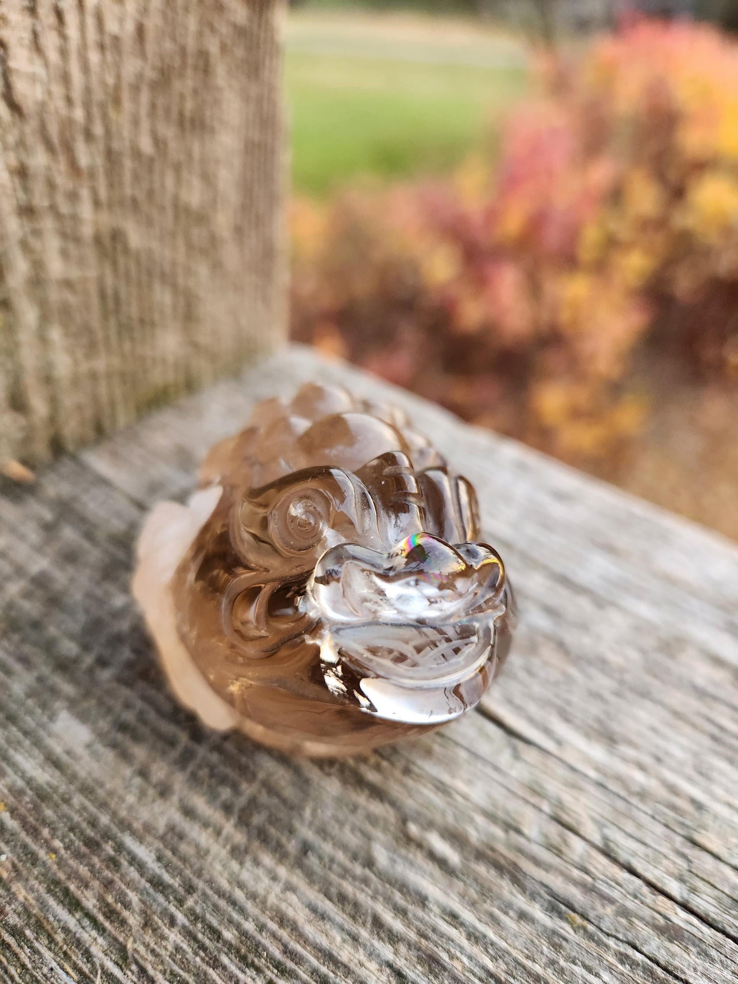 Smoky Quartz Money Toad: AAA Crystal Carving