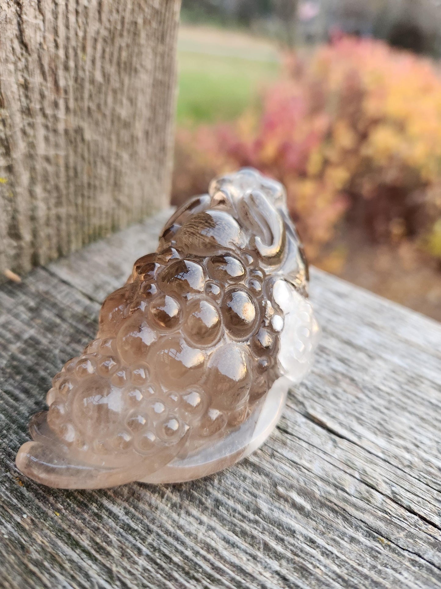 Smoky Quartz Money Toad: AAA Crystal Carving