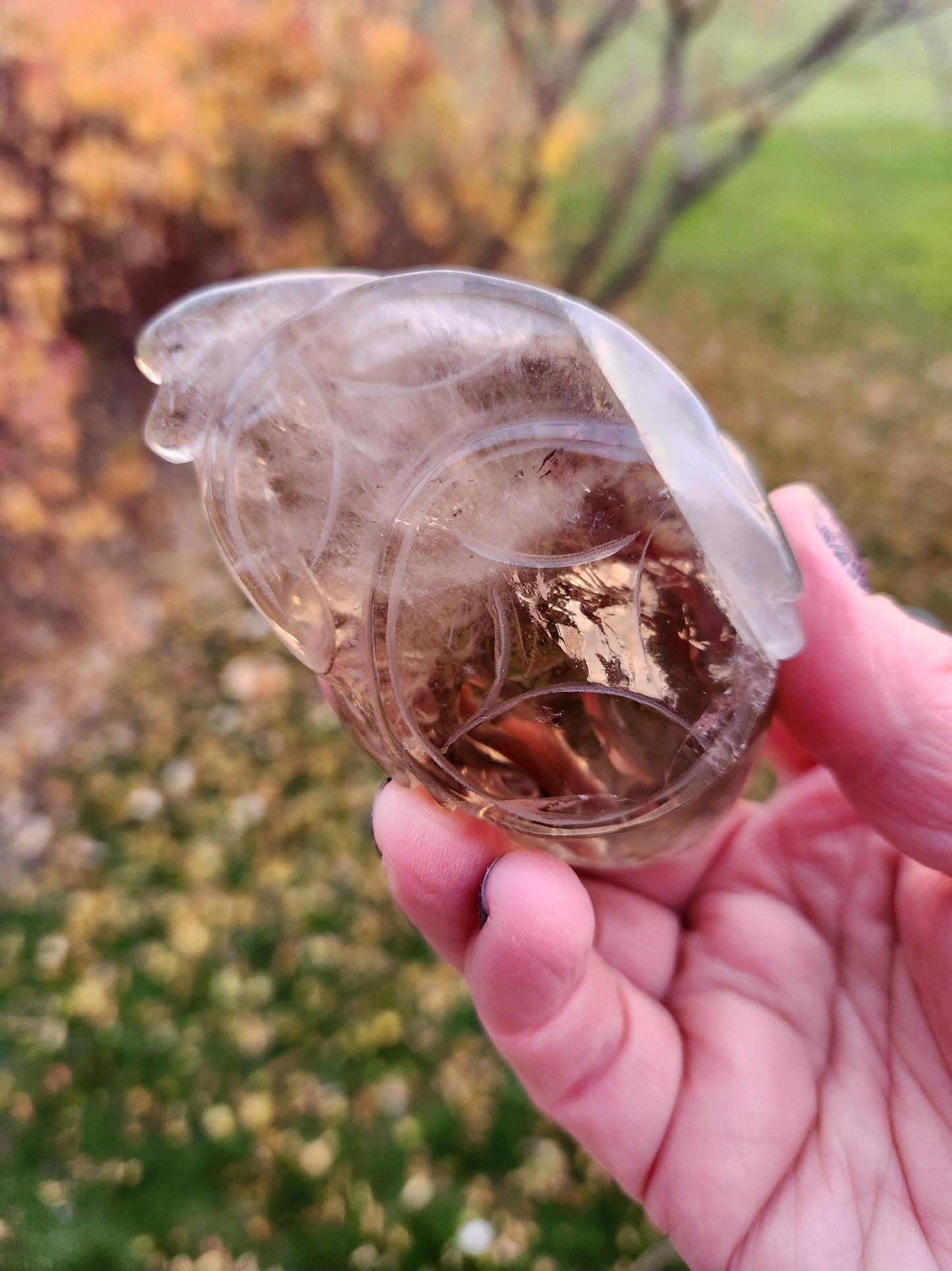 Smoky Quartz Money Toad: AAA Crystal Carving