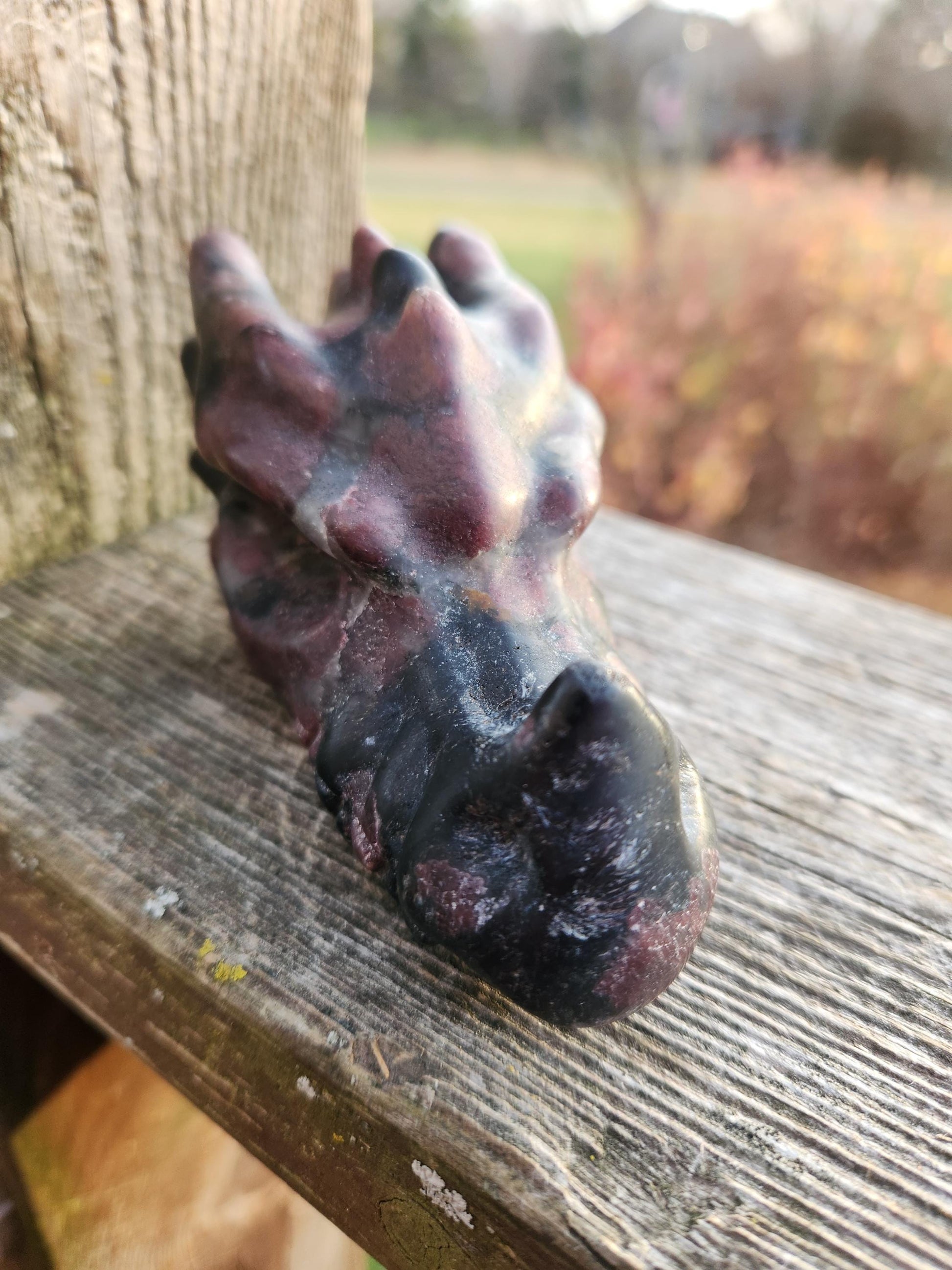 Garnet with Fireworks or Arfvedsonite Crystal Dragon Head Carving - DnD, Decor