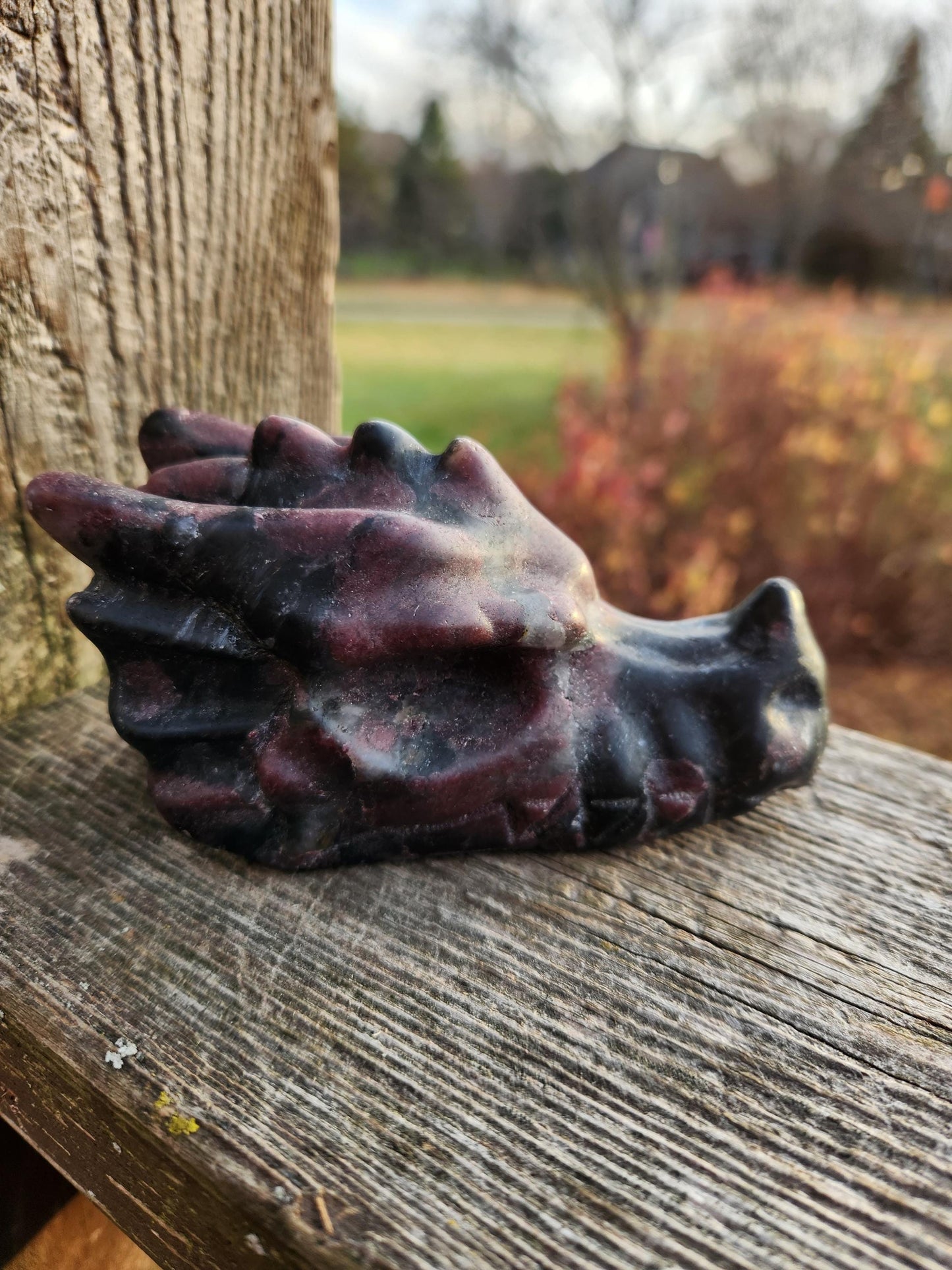 Garnet with Fireworks or Arfvedsonite Crystal Dragon Head Carving - DnD, Decor