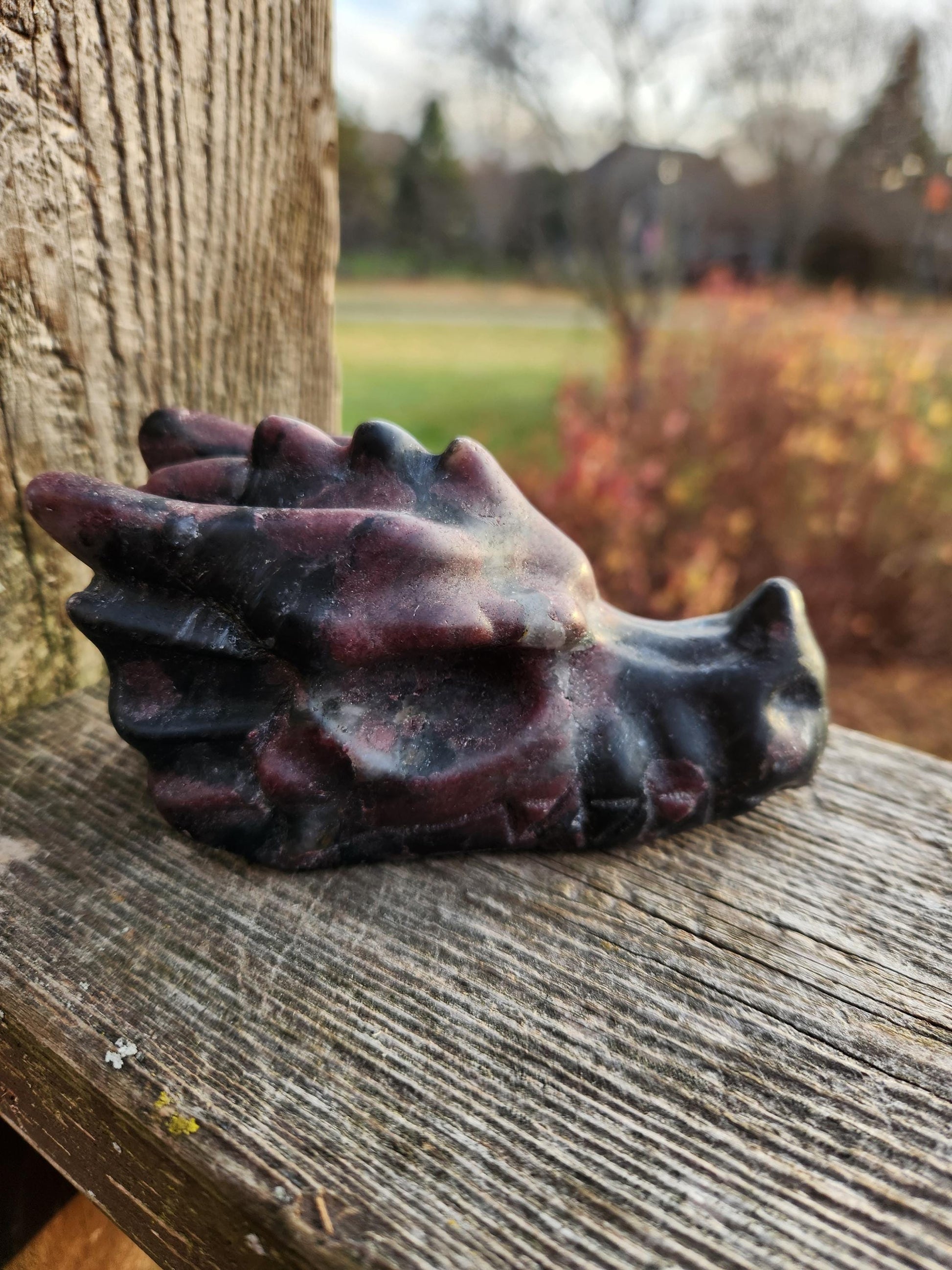 Garnet with Fireworks or Arfvedsonite Crystal Dragon Head Carving - DnD, Decor