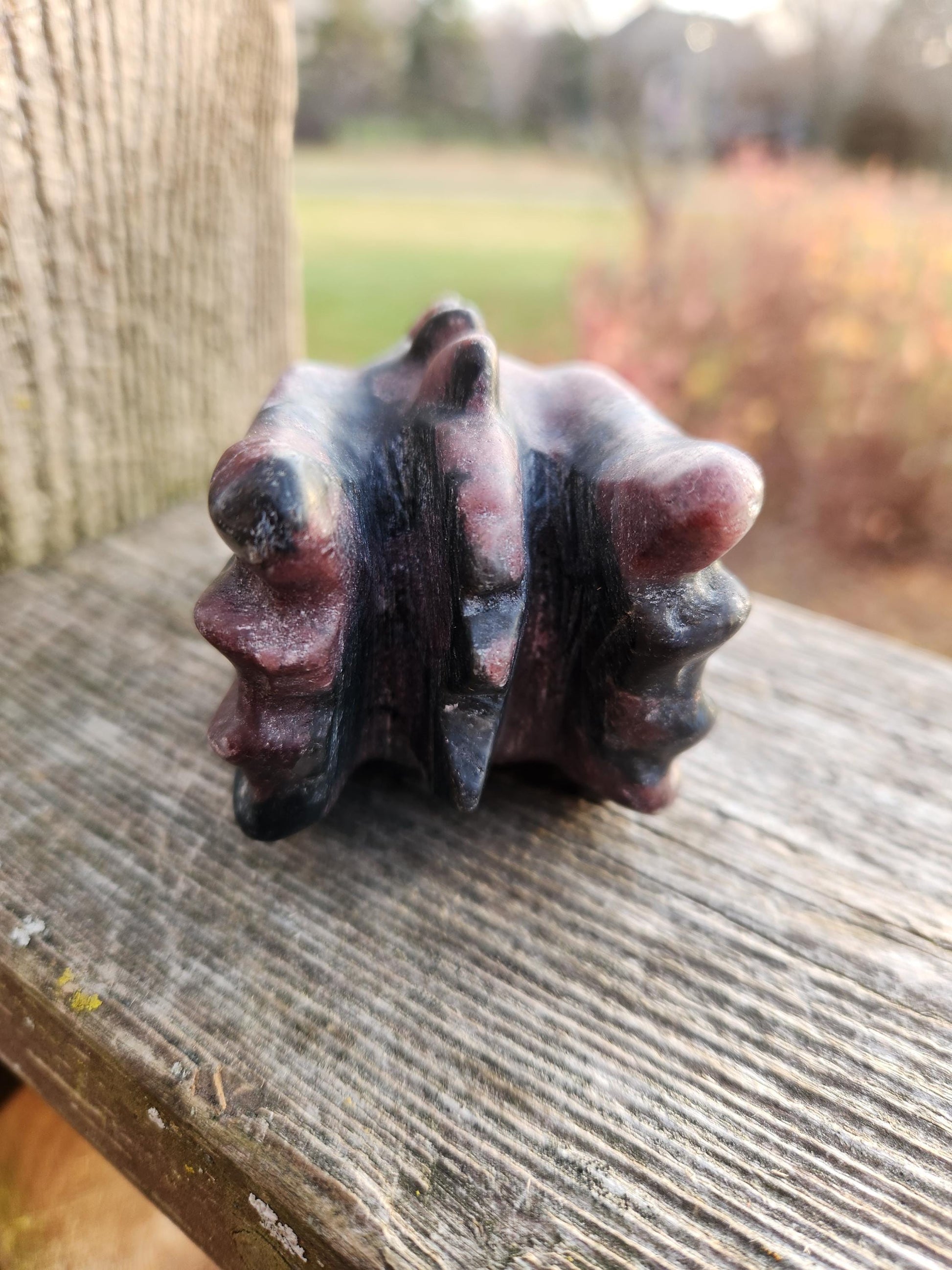 Garnet with Fireworks or Arfvedsonite Crystal Dragon Head Carving - DnD, Decor