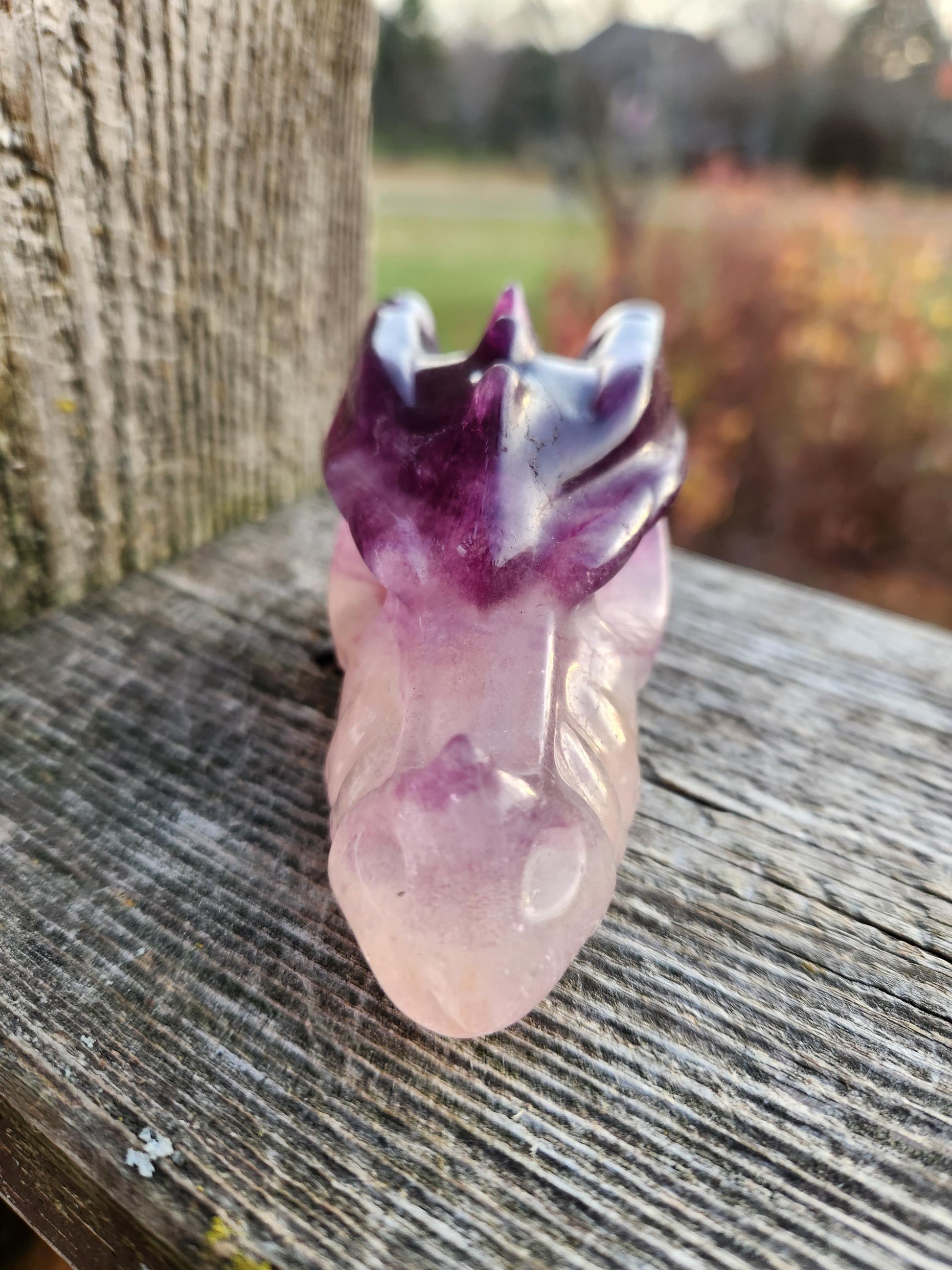 Natural Purple and White Fluorite Crystal Carved Dragon Head, DnD