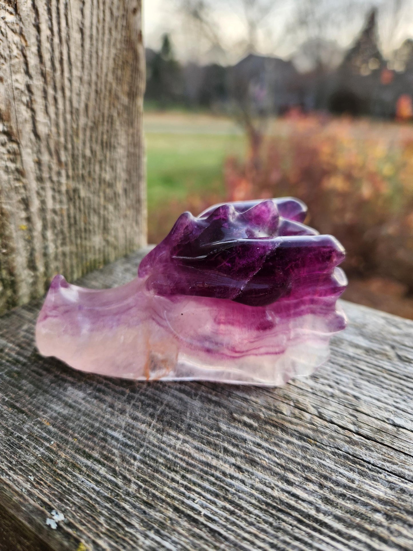 Natural Purple and White Fluorite Crystal Carved Dragon Head, DnD