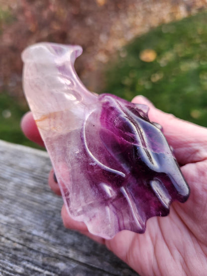 Natural Purple and White Fluorite Crystal Carved Dragon Head, DnD