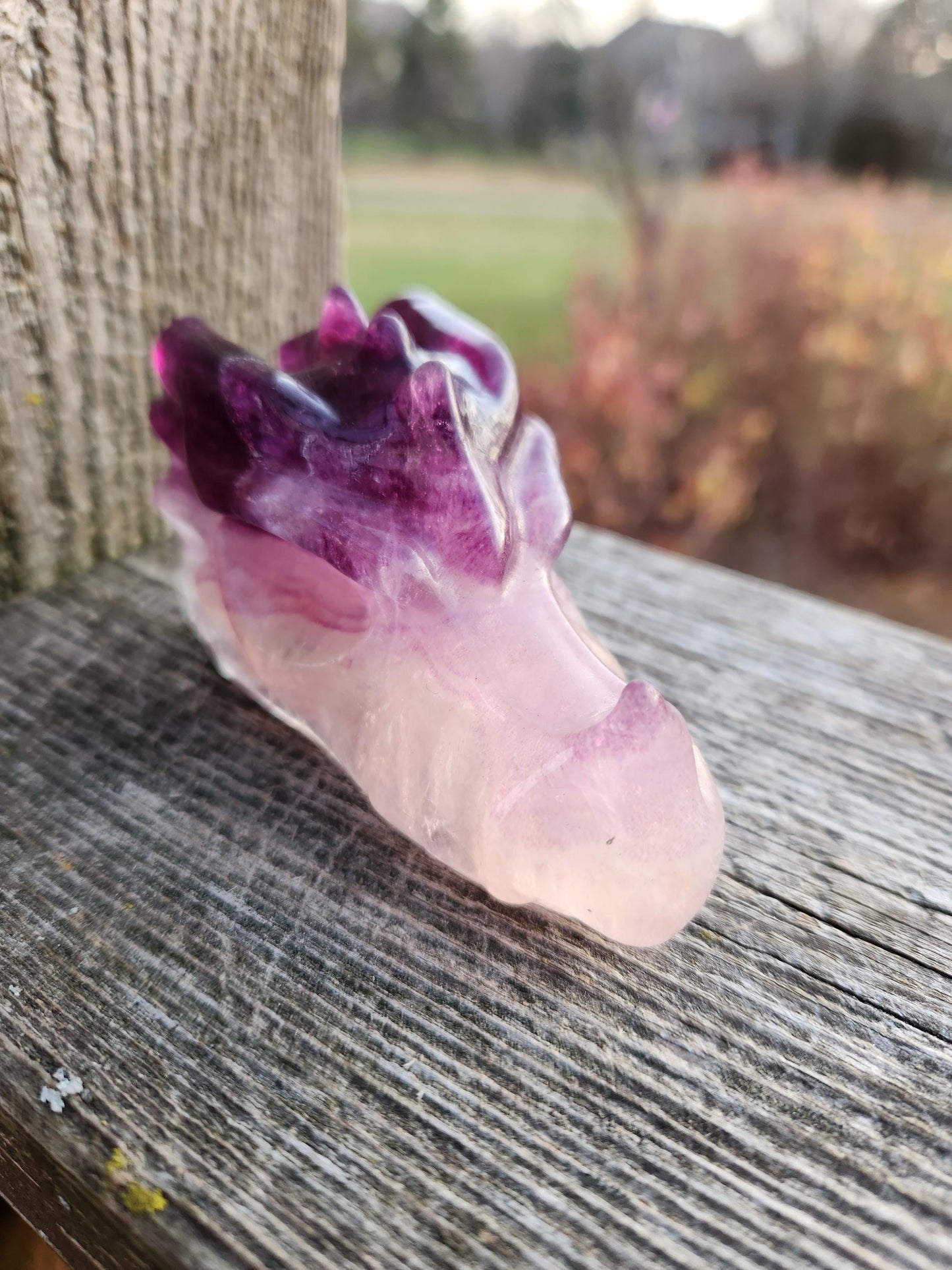 Natural Purple and White Fluorite Crystal Carved Dragon Head, DnD